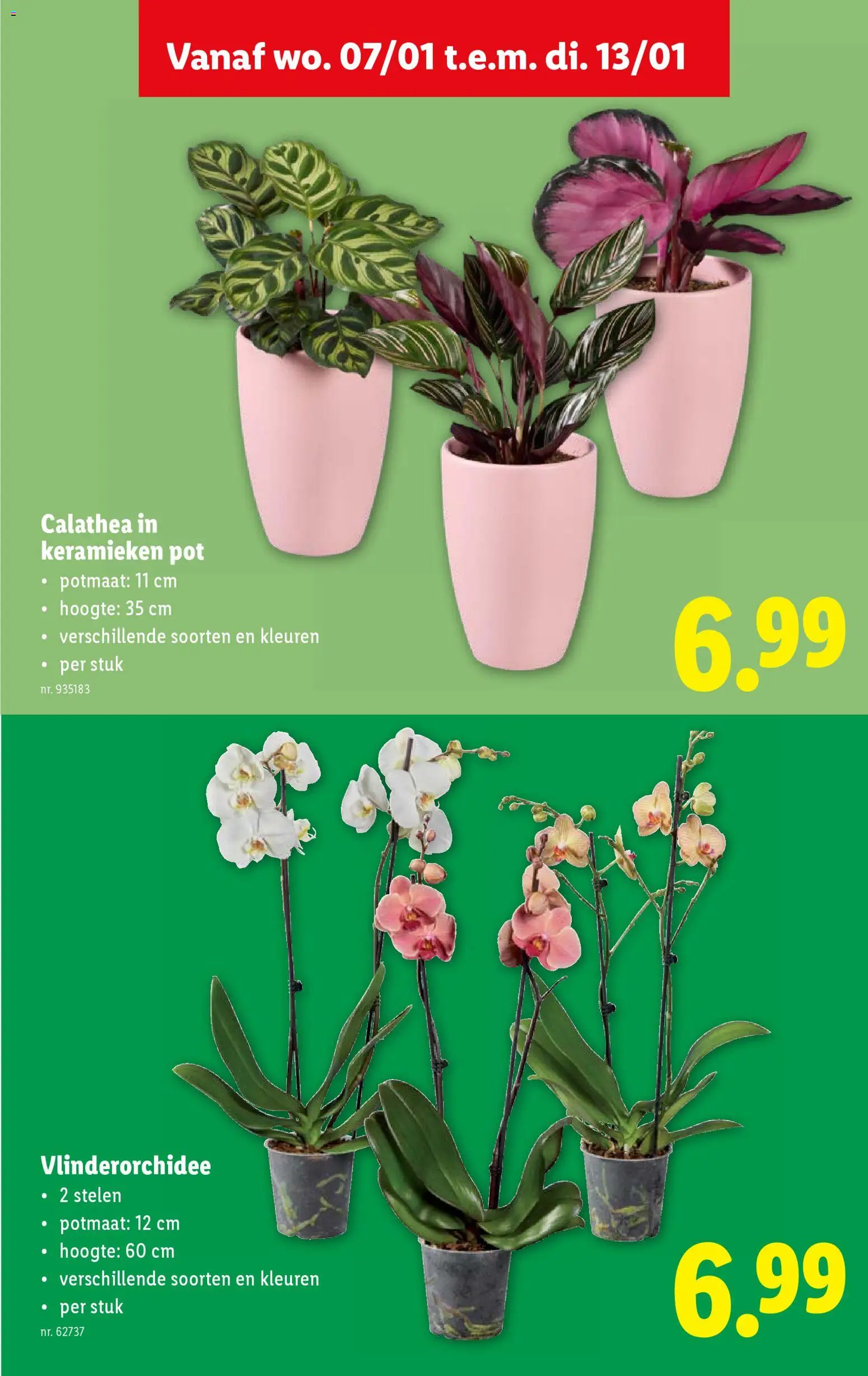 {H1} | Pagina: 38 | Producten: Pot