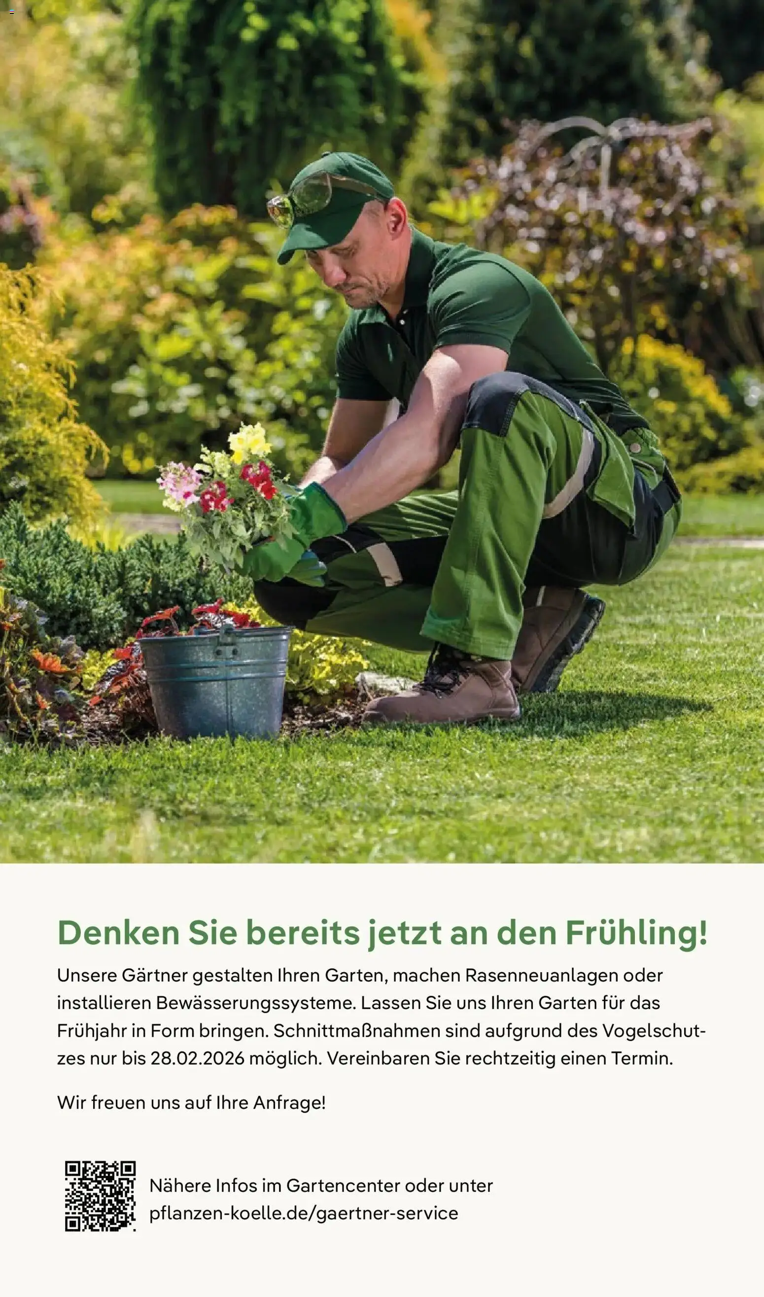 Pflanzen-Kölle Winterzauber erleben – gültig ab 03.11.2025 | Seite: 19