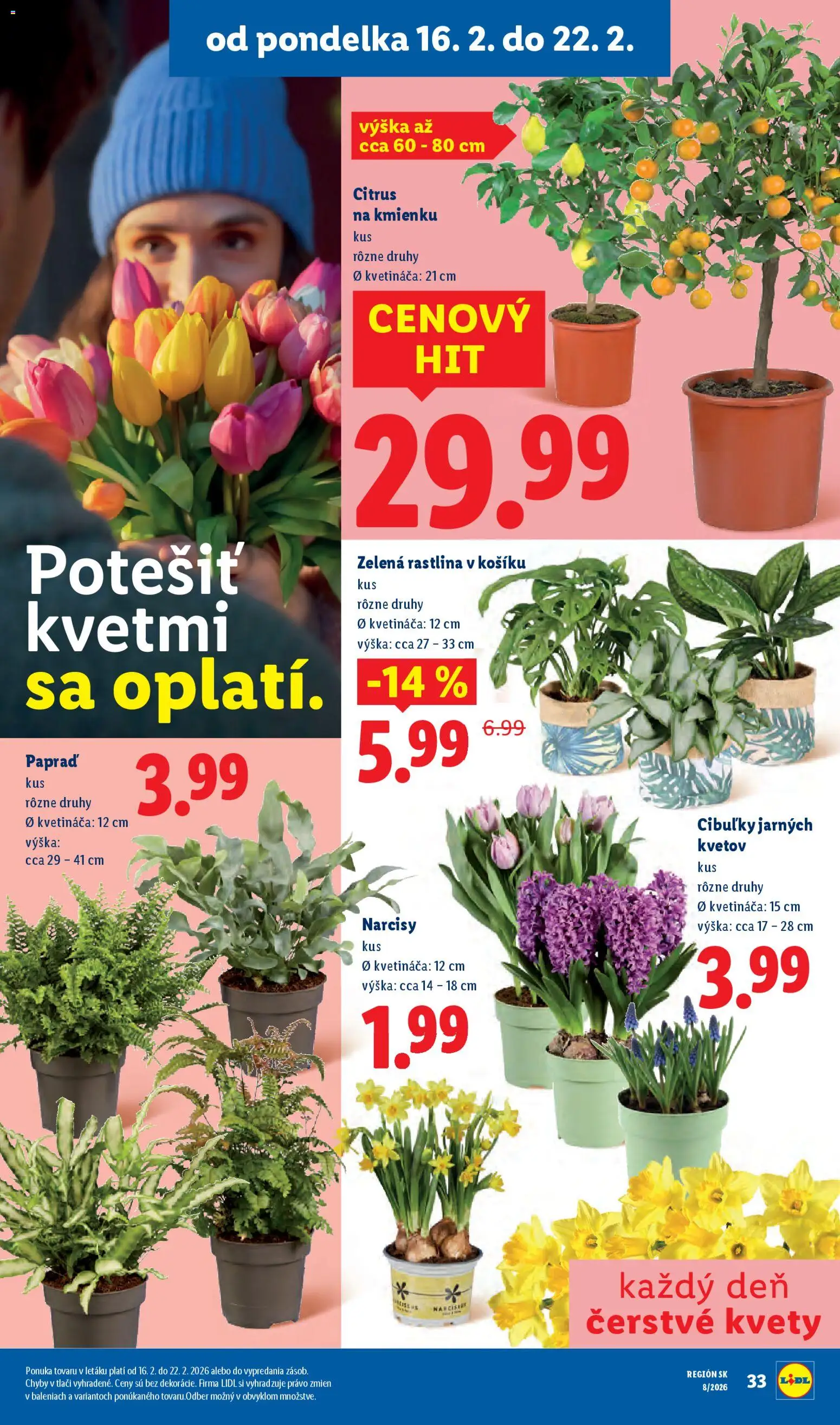 Nové Lidl akcie – leták je platný od 19.02.2026 | Strana: 68 | Produkty: Kvety