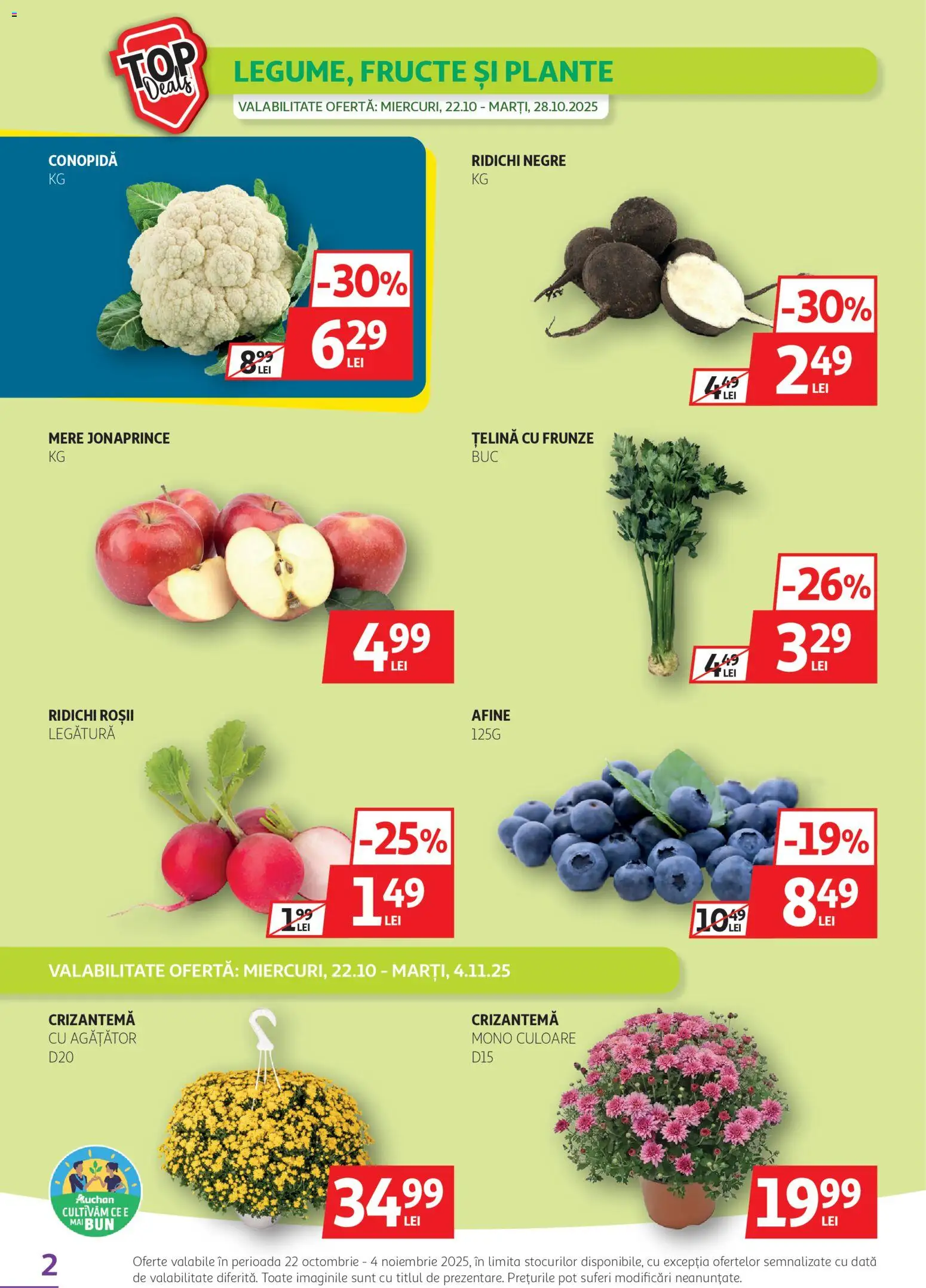 Noul catalog Auchan – valabil de la 22.10.2025 | Pagină: 2 | Produse: Afine, Conopidă, Roșii, Sıcak çikolata