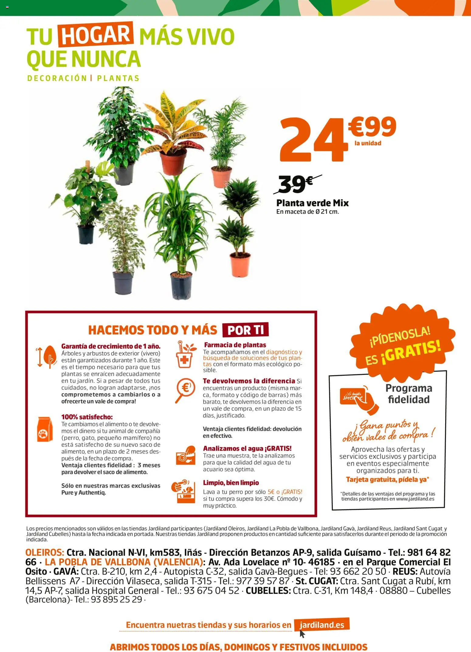 Jardiland folleto │ válido desde el 15.01.2026 | Página: 8 | Productos: General, Té, Maceta