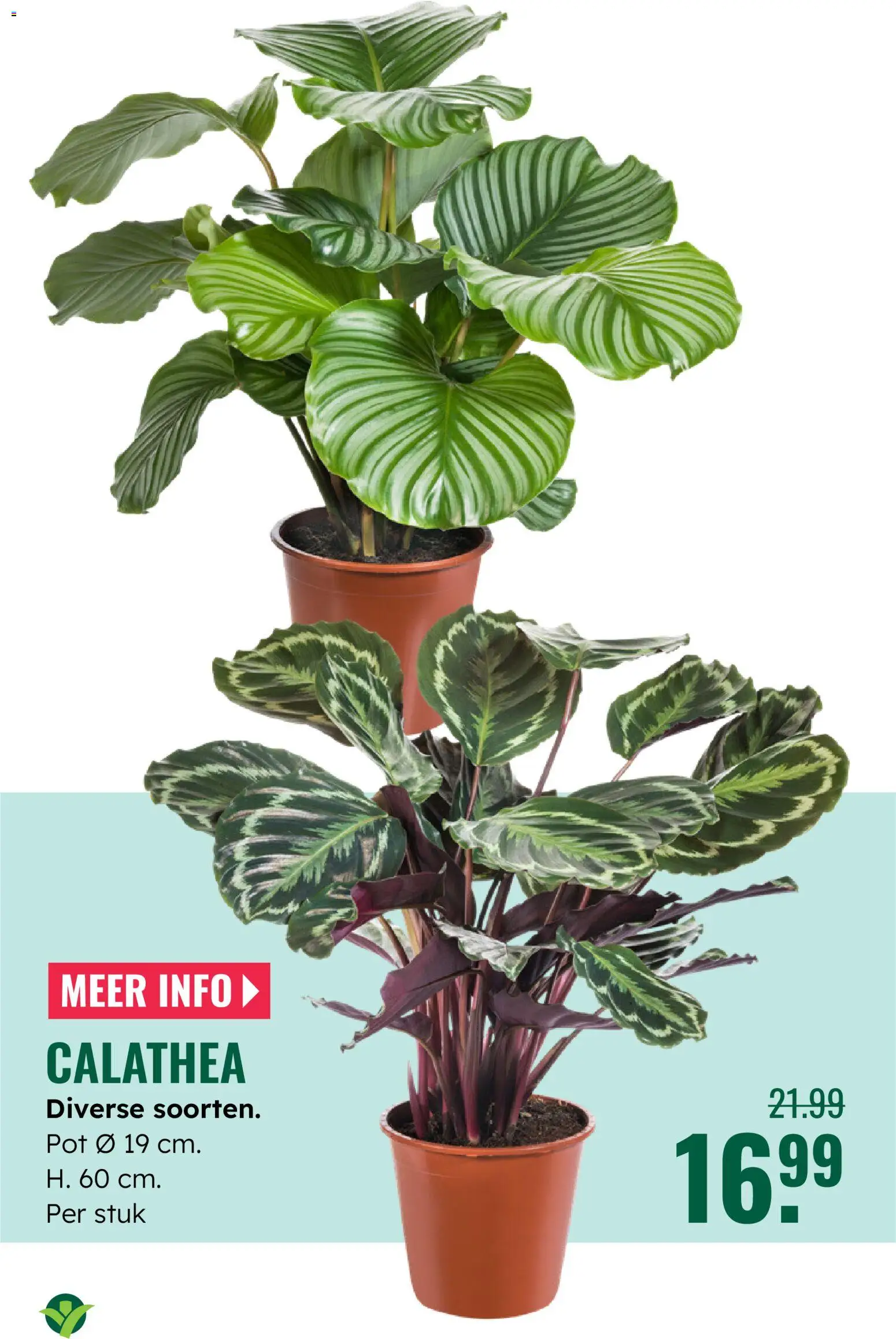 {H1} | Pagina: 15 | Producten: Pot