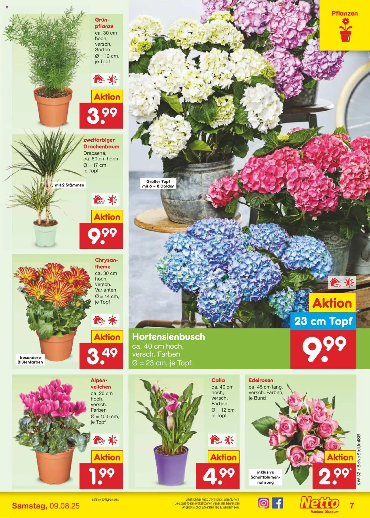 Netto Marken-Discount Prospekt 	 - gültig ab dem 04.08.2025 | Seite: 9