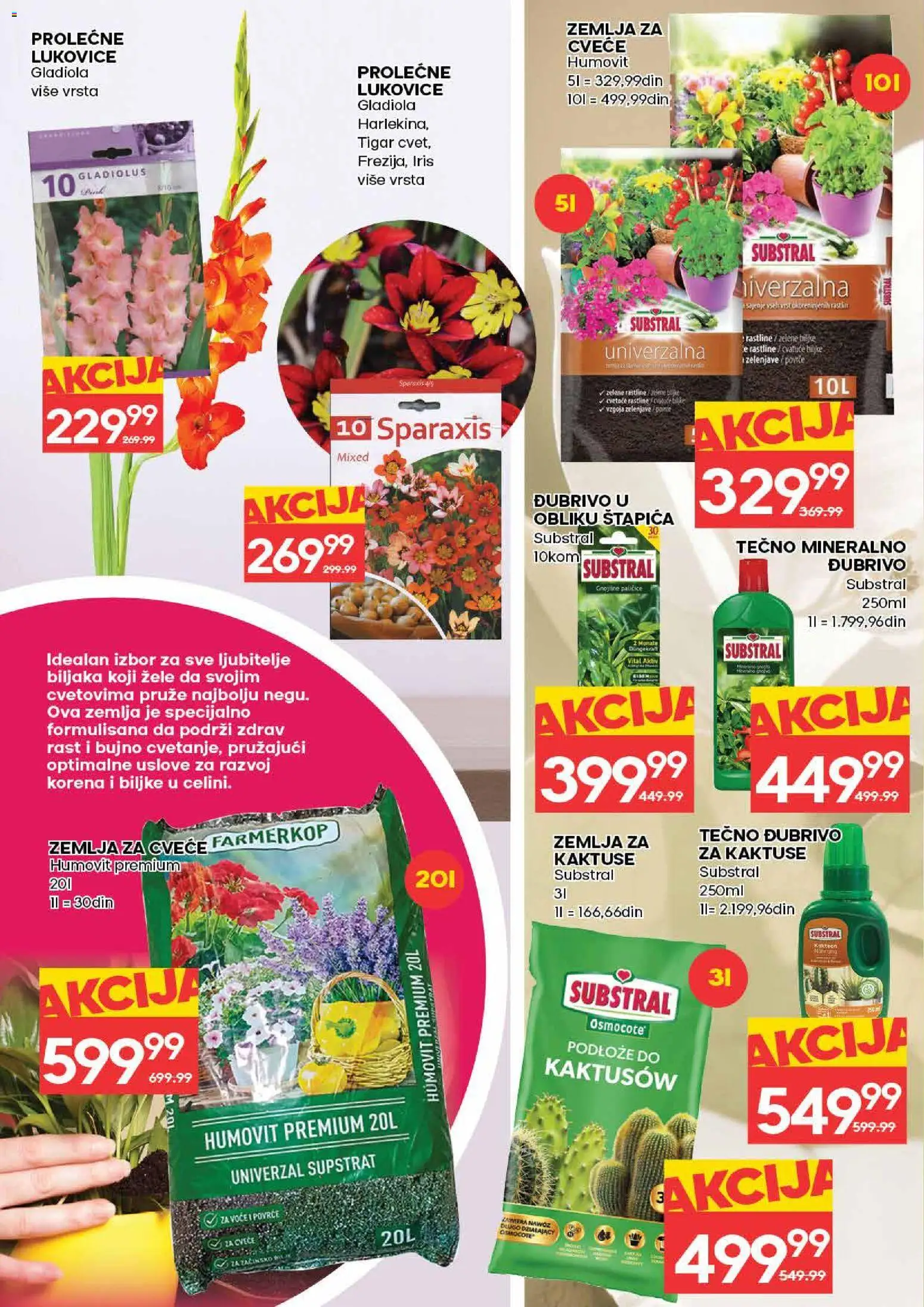 Idea katalog - važi od 05.03.2026 | Strana: 30 | Proizvode: Zemlja, Cvece