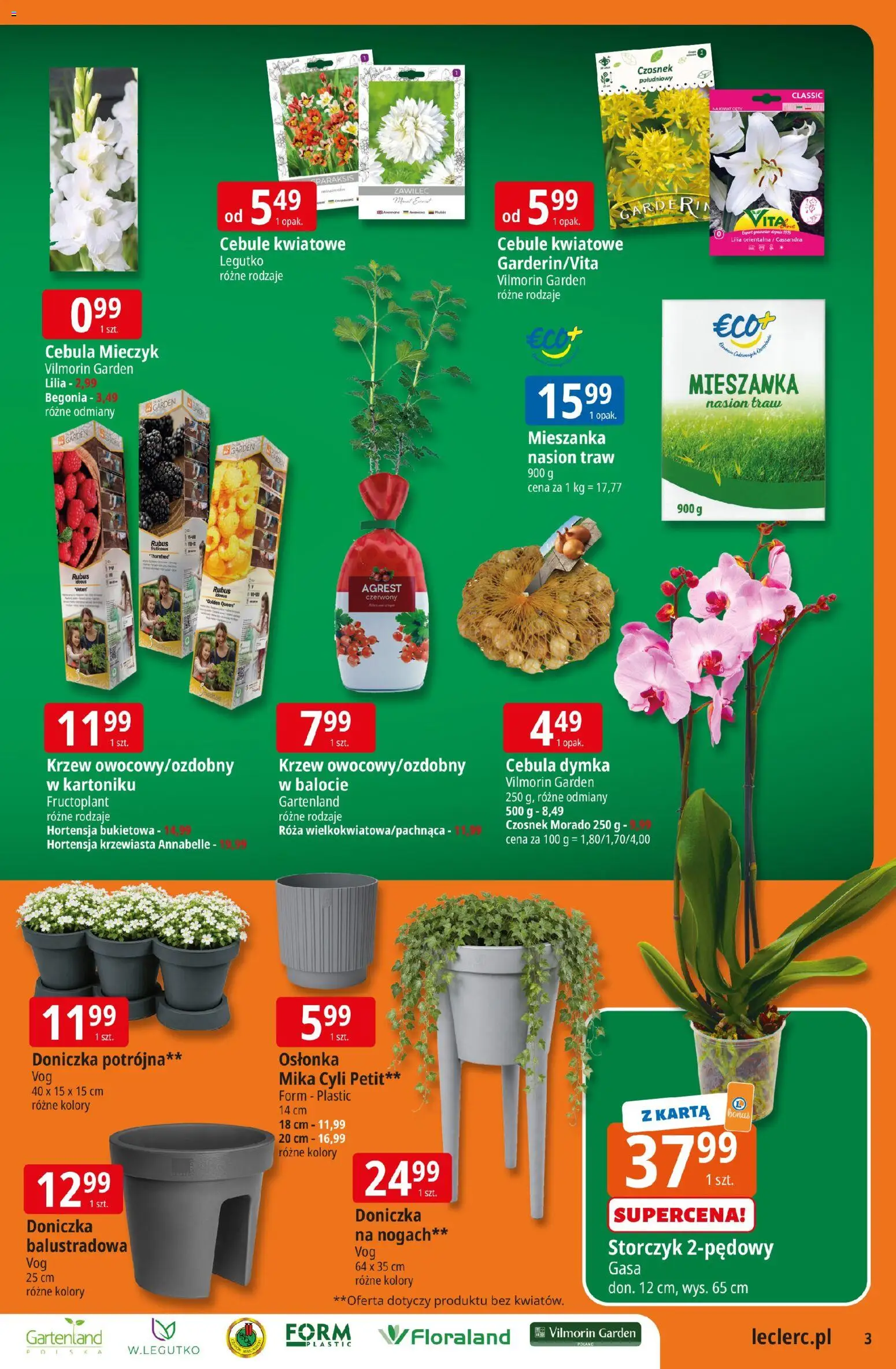 E.Leclerc gazetka - Zamość od 10.03.2026 | Strona: 3 | Produkty: Agrest, Doniczka, Storczyk, Cebule