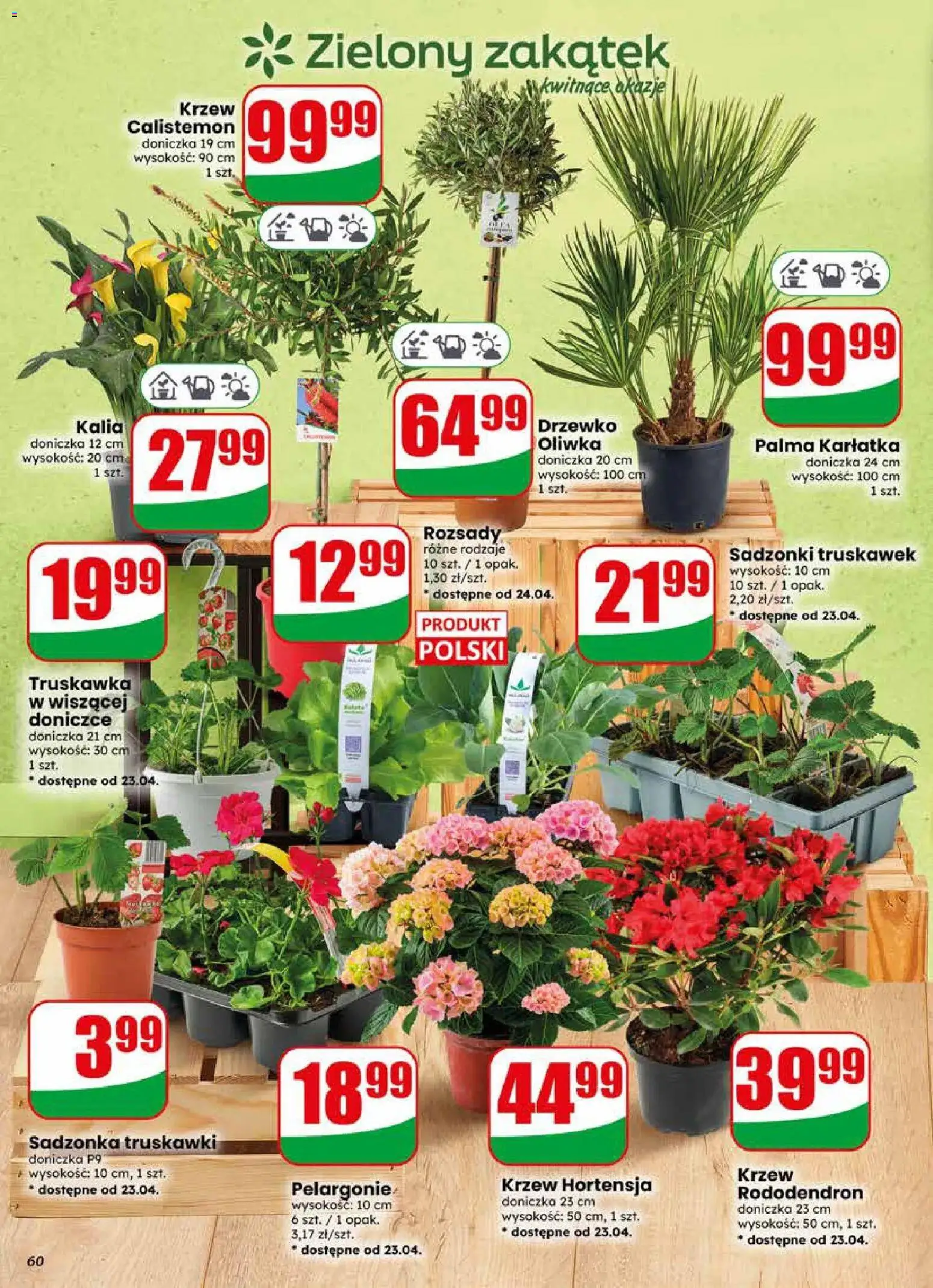 Dino gazetka od 22.04.2026 | Strona: 60 | Produkty: Doniczka, Truskawki