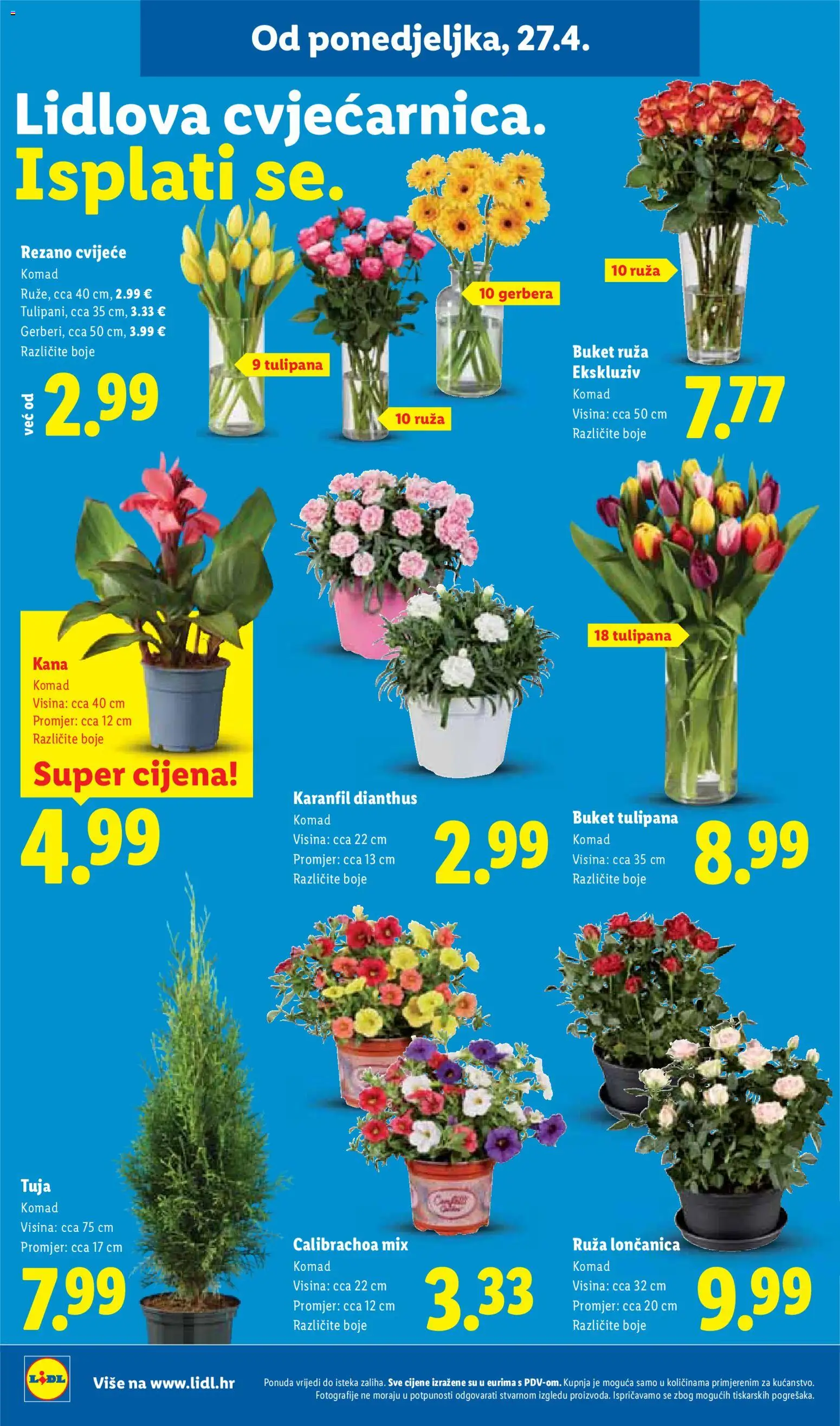 Lidl katalog | vrijedi od 27.04.2026 | Stranica: 46 | Proizvodi: Cvijeće