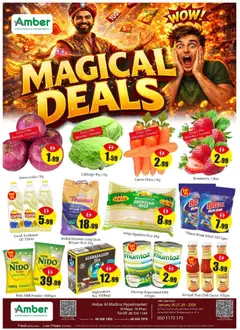 Preview of Amber - Offers valid from 26.01.2026 | Page: 1