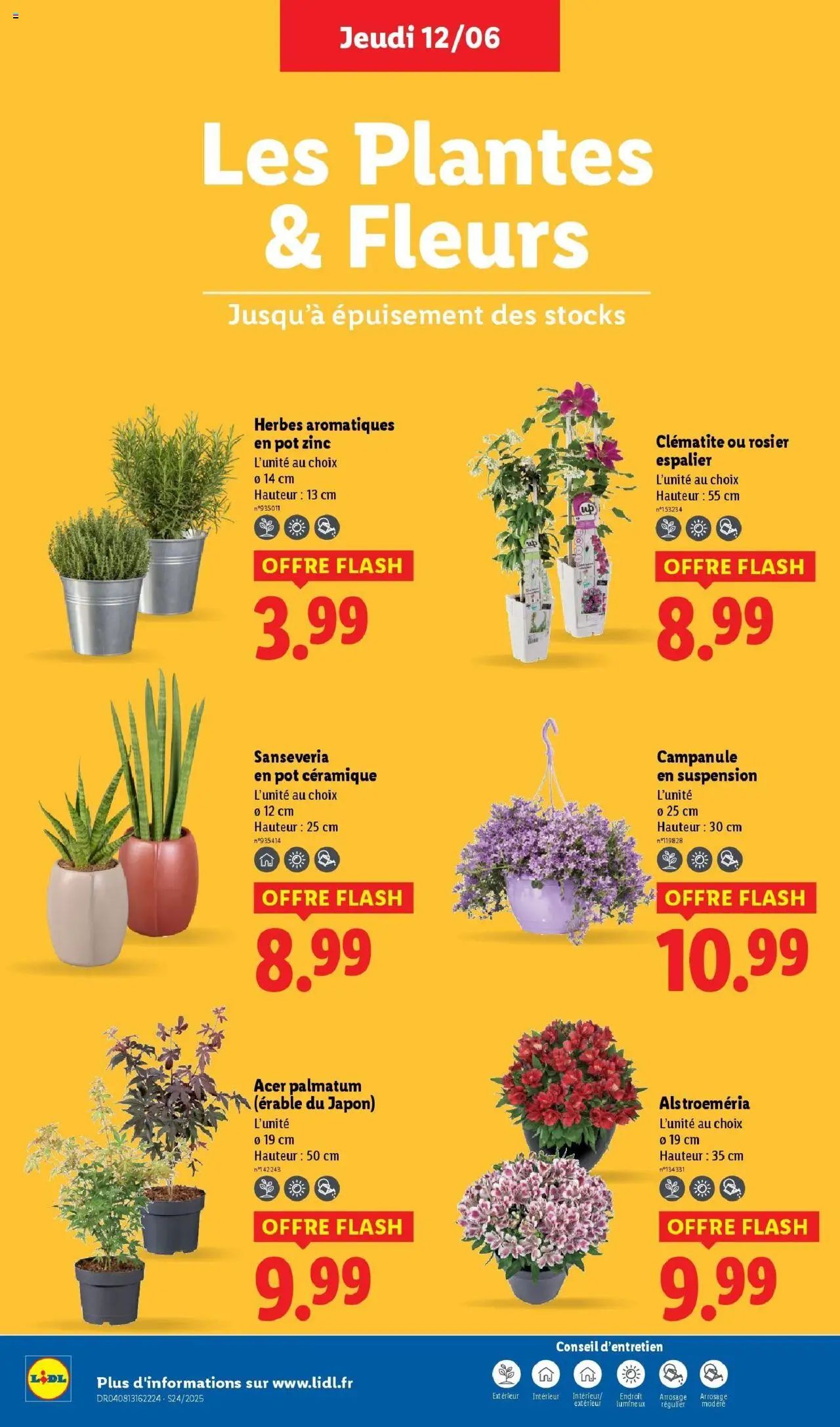  | Page: 28 | Produits: Rosier, Plantes, Érable du japon, Suspension