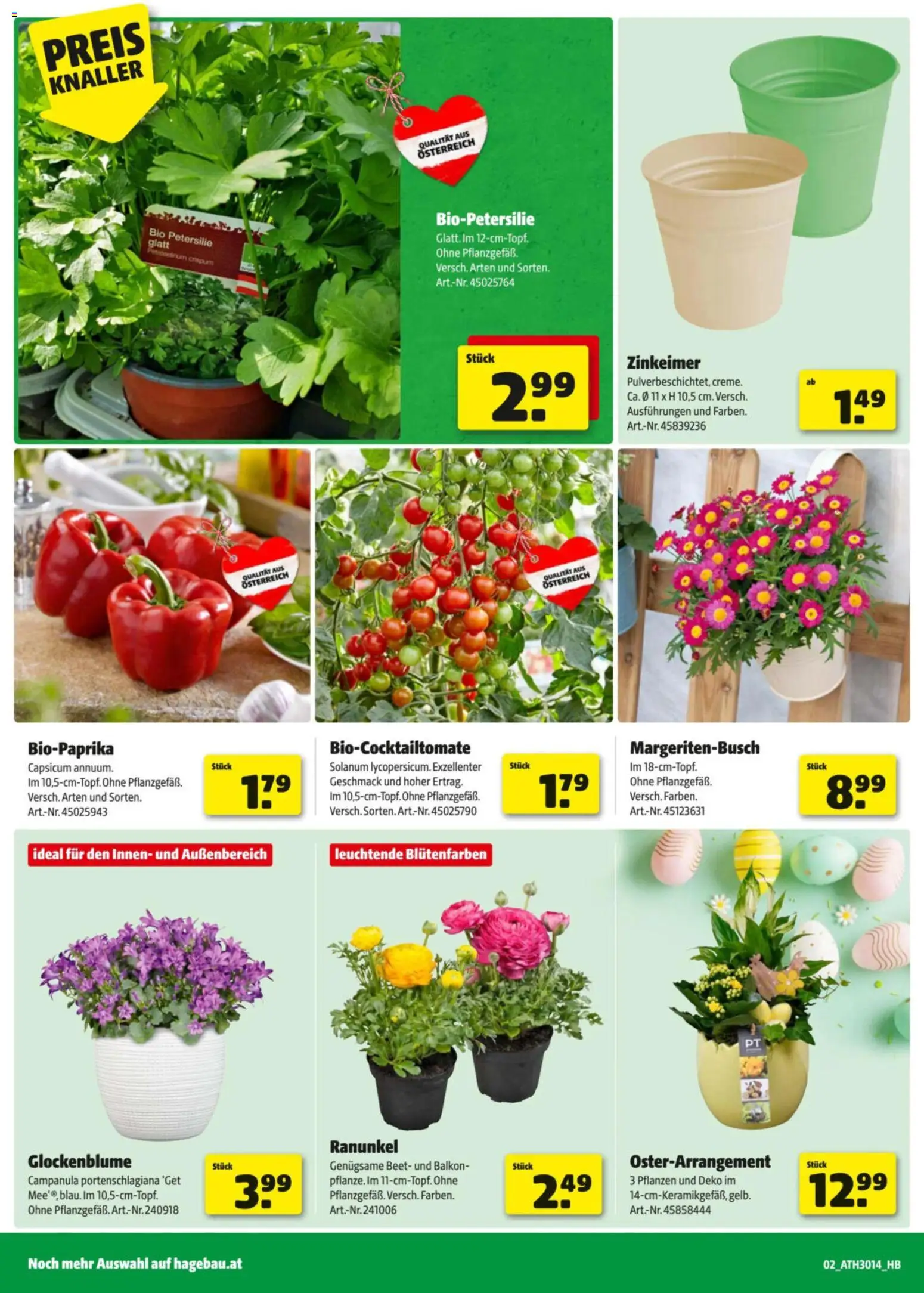 Hagebau Flugblatt gültig ab 27.04.2026 | Seite: 2 | Produkte: Petersilie