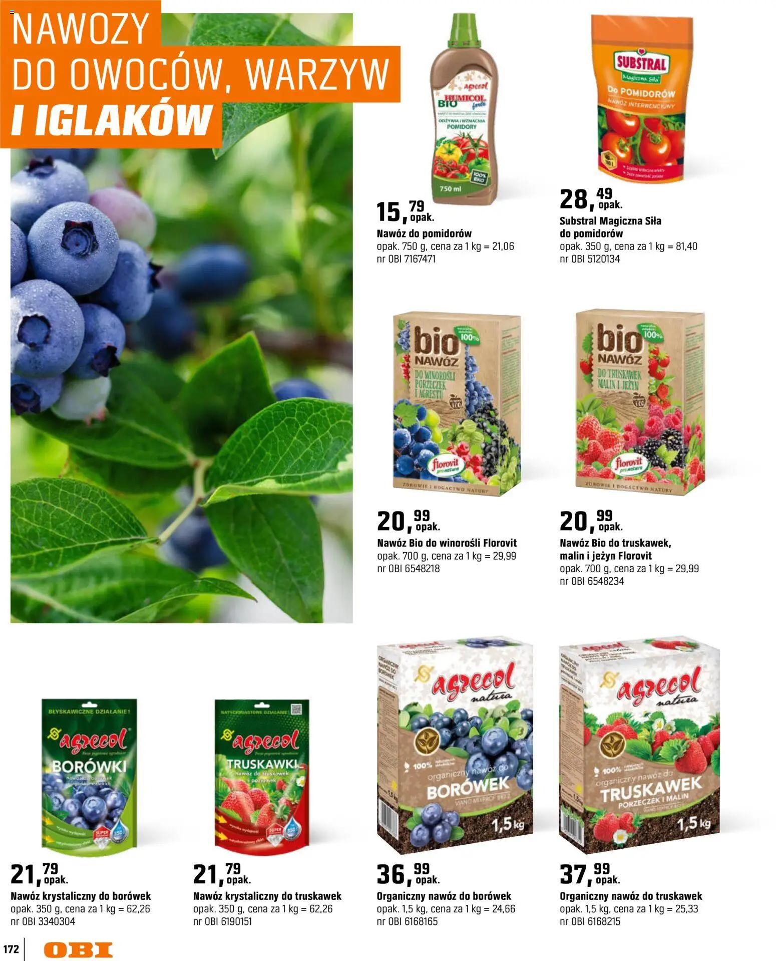 OBI gazetka - Ogród od 11.03.2026 | Strona: 172 | Produkty: Pomidory, Truskawki