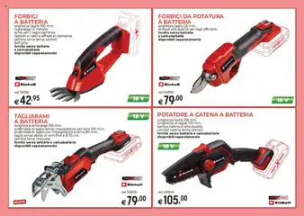 Anteprima del volantino Catalogo Macchine da giardino Brico OK	 valido a partire dal 03.03.2025 | Pagina: 22