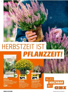 Obi Herbstgartenmagazin ab 01.09.2025 gültig
