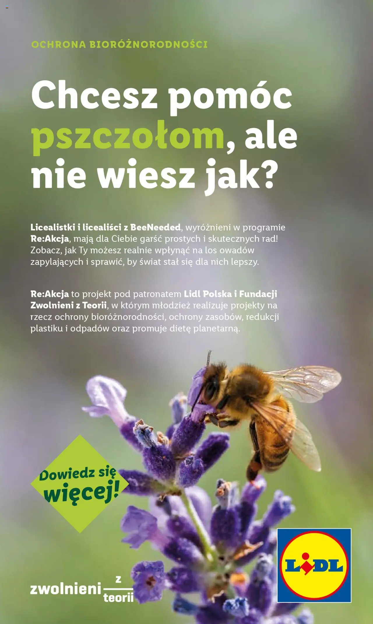 Lidl Katalog od 07.07.2025 | Strona: 43