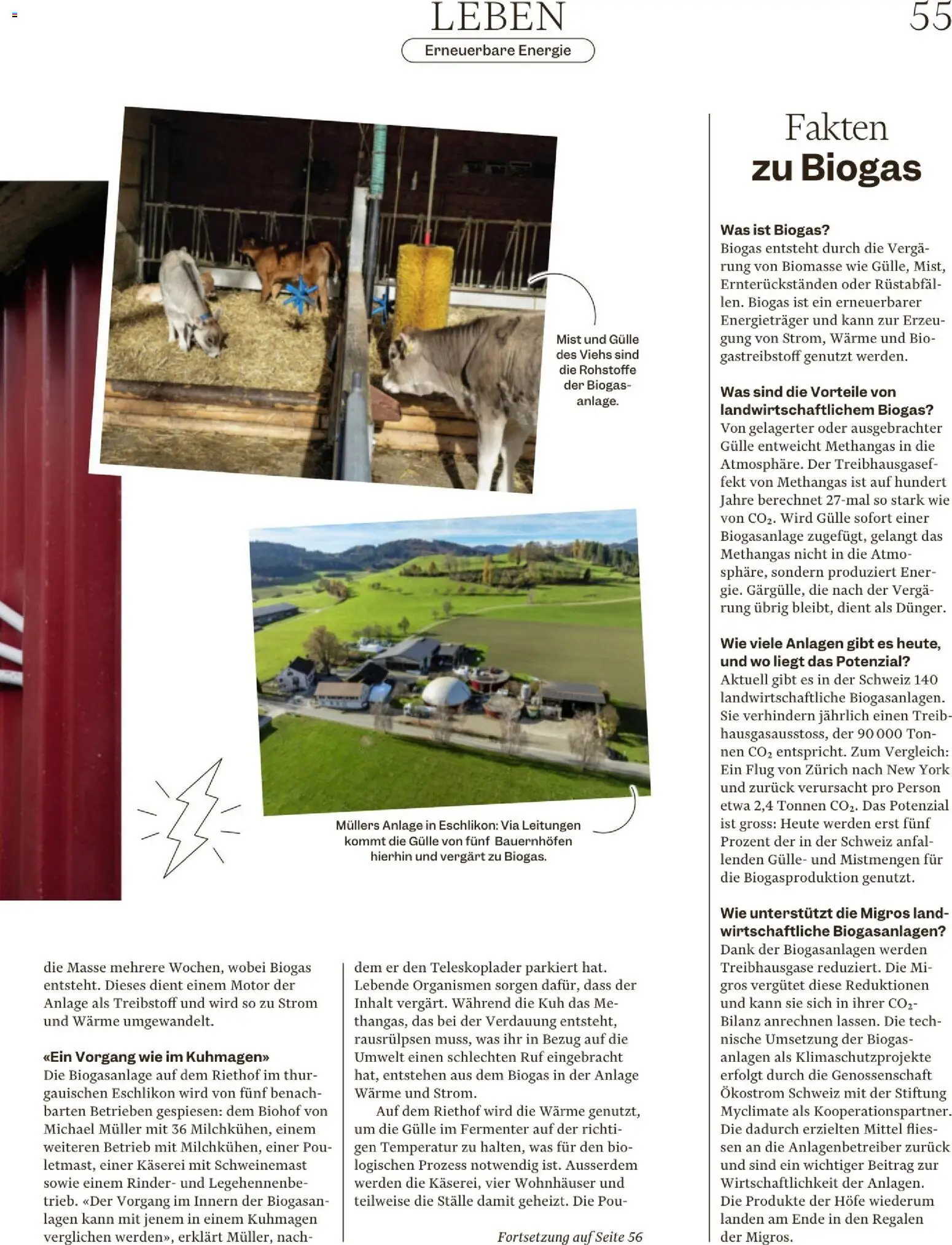 Migros Magazin – gültig ab 02.12.2025 | Seite: 55 | Produkte: Fermenter