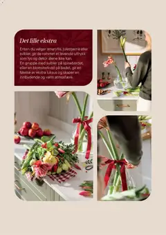 Forhåndsvisning av Plantasjen kundeavis gyldig fra 02.12.2025 | Side: 5