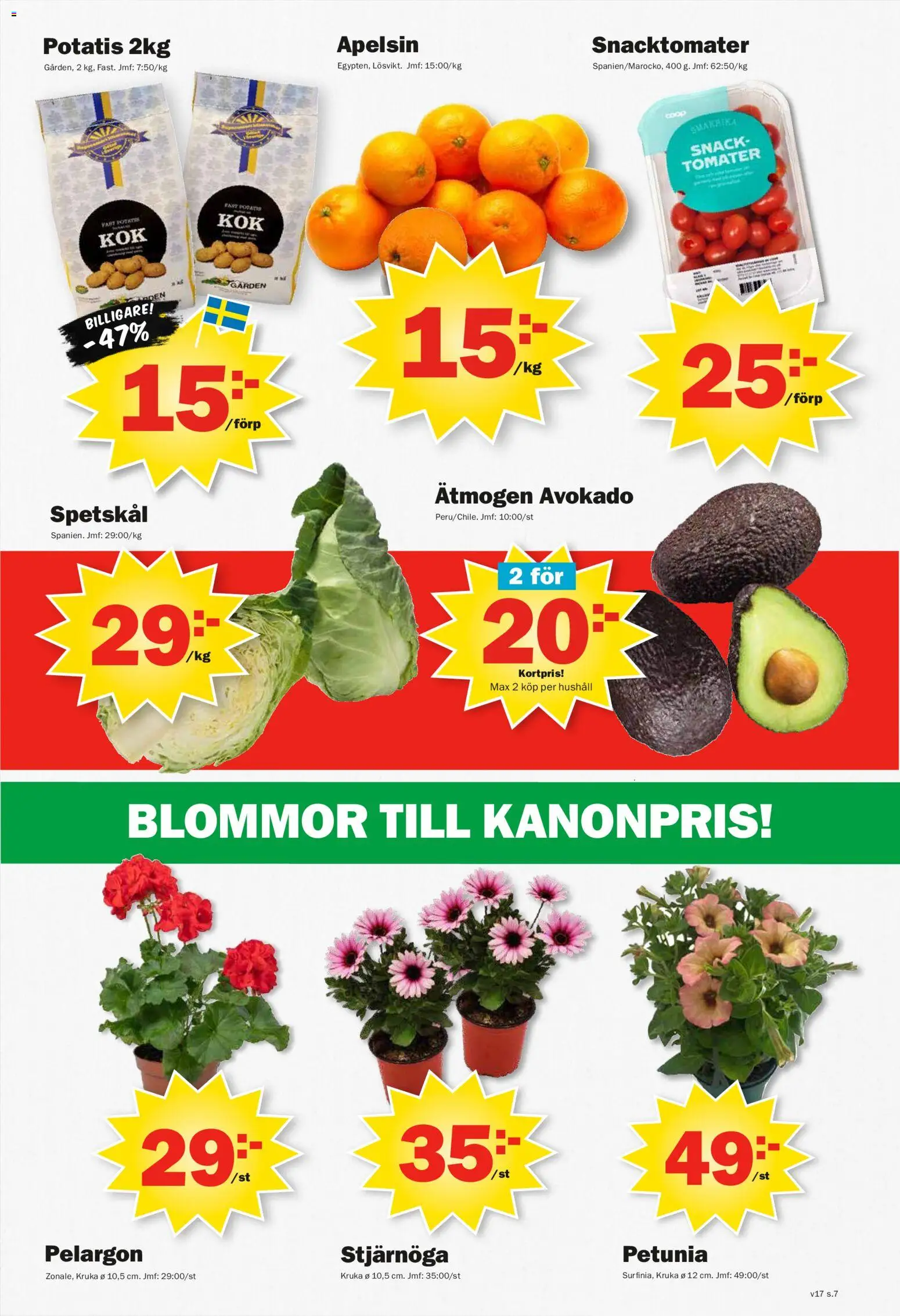 Pekås reklamblad aktuell från 20.04.2026 | Sida: 7 | Produkter: Pelargon, Stjärnöga, Tomater, Apelsin