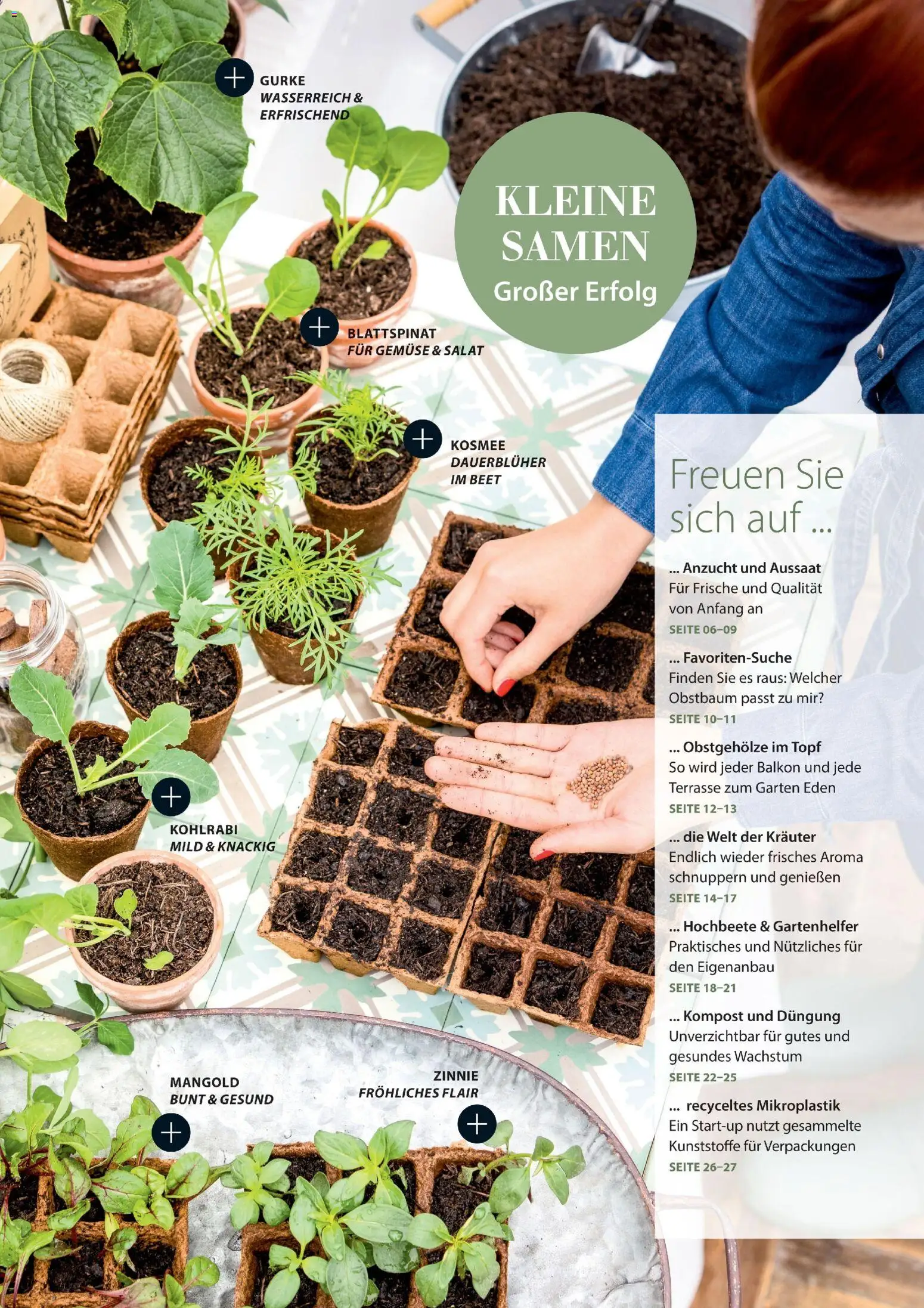 Dehner Flugblatt gültig ab 05.03.2026 | Seite: 7 | Produkte: Salat, Gemüse