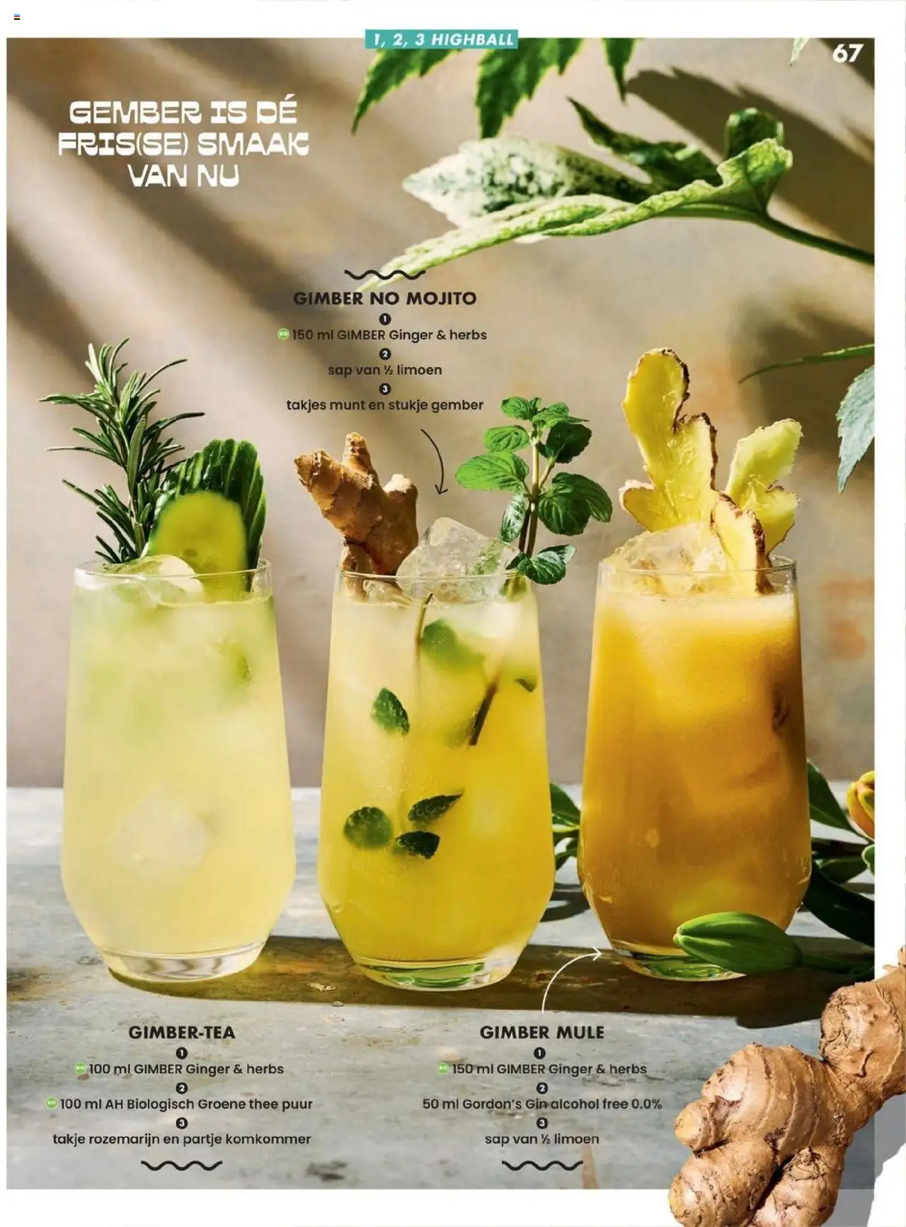  | Pagina: 67 | Producten: Munt, Sap, Gin, Alcohol