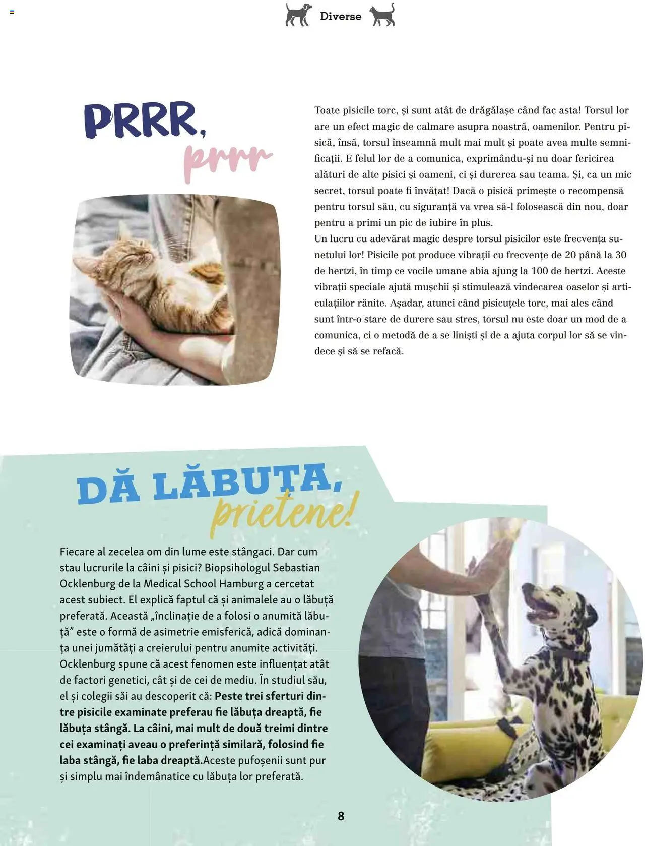 Catalog Fressnapf - Vară – valabil de la 05.05.2025 | Pagină: 8 | Produse: Șal, Vin, Pește