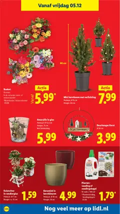 Keramiek in kerstkleuren, Potmaat: Ø 19 cm. Hoogte: 18 cm - Voorbeeld van een folder van Lidl, geldig van 01.12.2025 | Pagina: 32