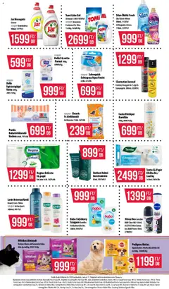 COOP akciós ujság - amely érvényes a következő dátumtól: 17.07.2025 | Oldal: 11 | Termékek: Whiskas, Sebtapasz, Öblítő, Citrom