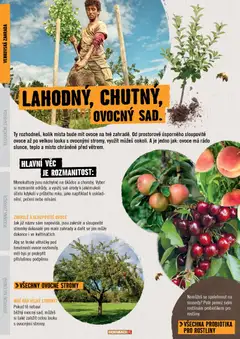 Náhled letáku HORNBACH leták - Zahrada od 01.01.2026 | Strana: 8