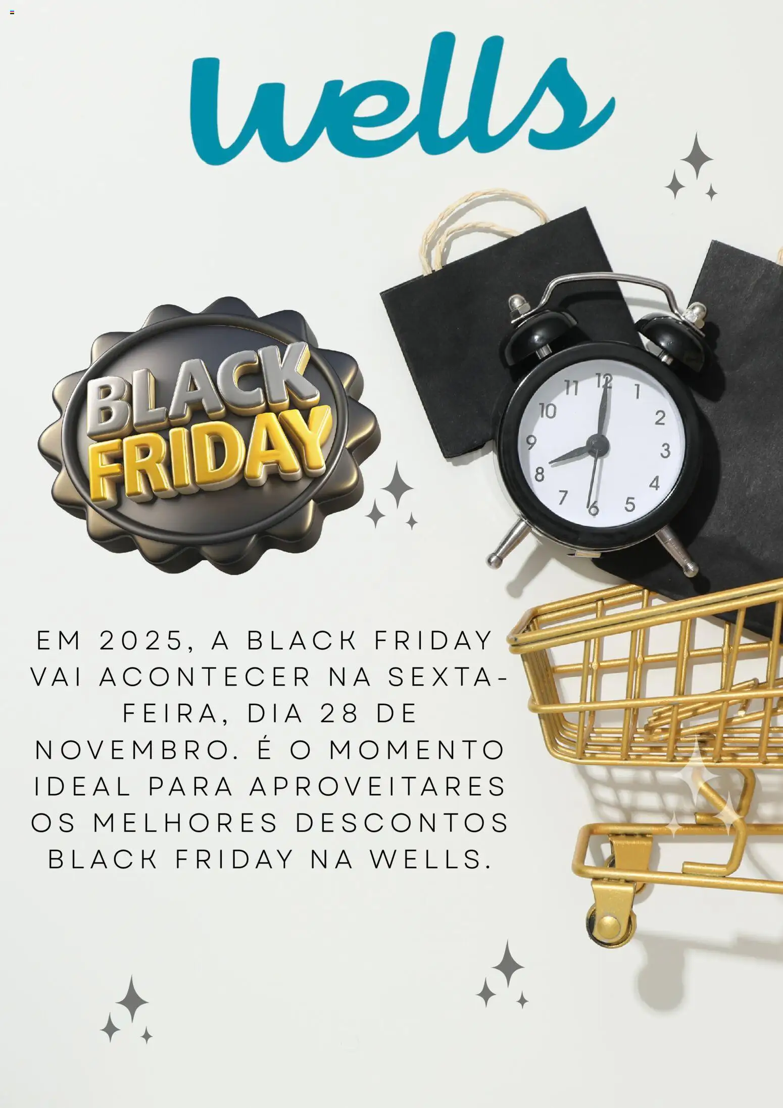 Well’s Black Friday perceber │ válido de 30.10.2025 | Página: 1