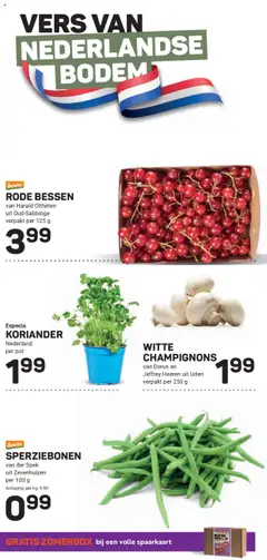  | Pagina: 11 | Producten: Fogyasztásmérő, Pot, Koriander