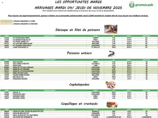 Promocash - Prévisualisation de Promocash catalogue valide à partir de 04.11.2025