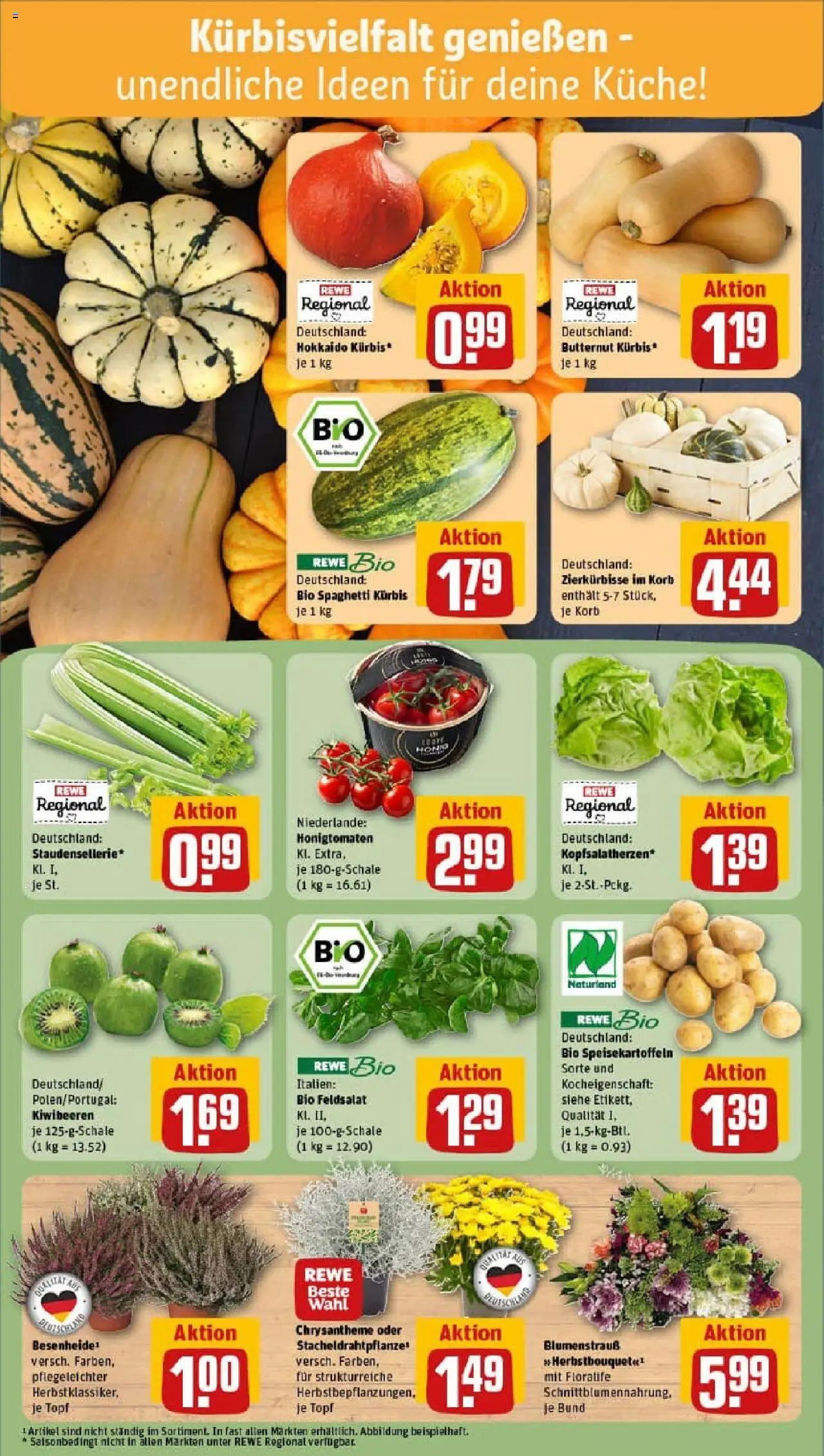 Rewe prospekt Tübingen / Innenstadt	 – gültig ab 06.10.2025 | Seite: 5 | Produkte: Korb, Küche, Kürbis, Kiwi