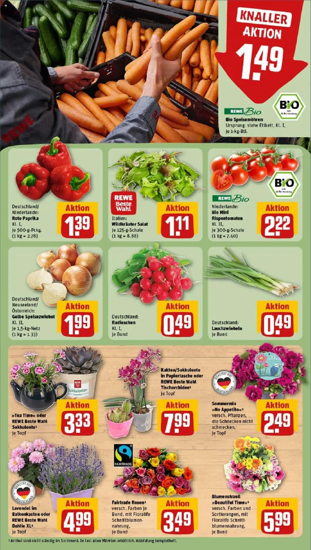 Rewe prospekt Chemnitz	 - gültig ab dem 29.06.2025 | Seite: 9 | Produkte: Paprika, Lavendel, Salat
