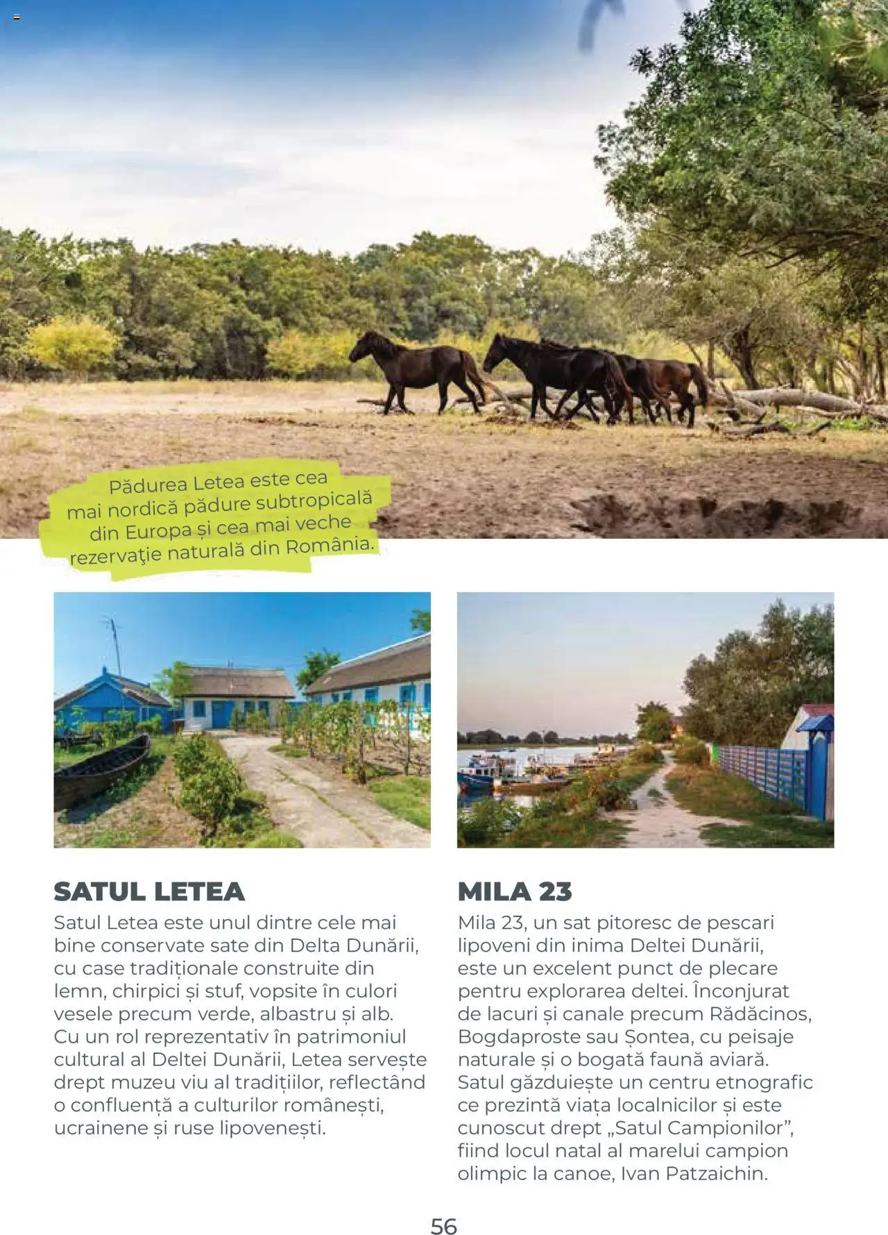Metro catalog - Ghid de călătorie România – valabil de la 01.08.2025 | Pagină: 56