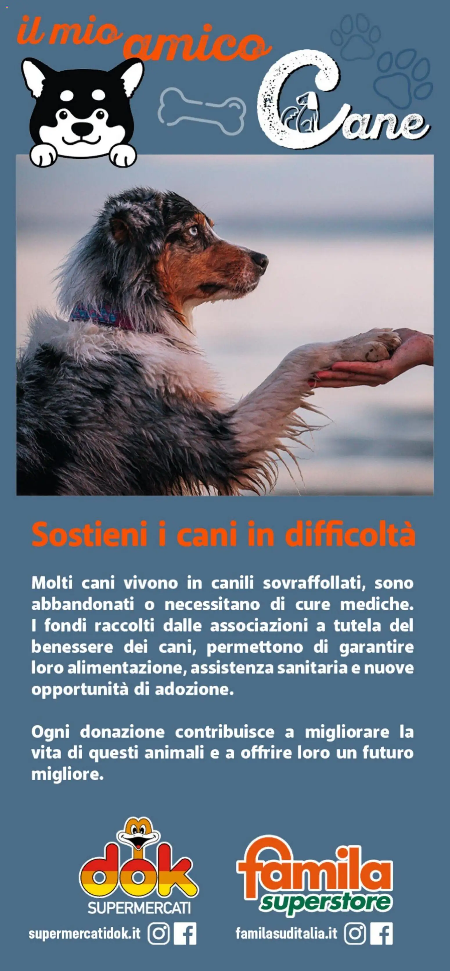 Volantino DOK del 24.10.2025 | Pagina: 12