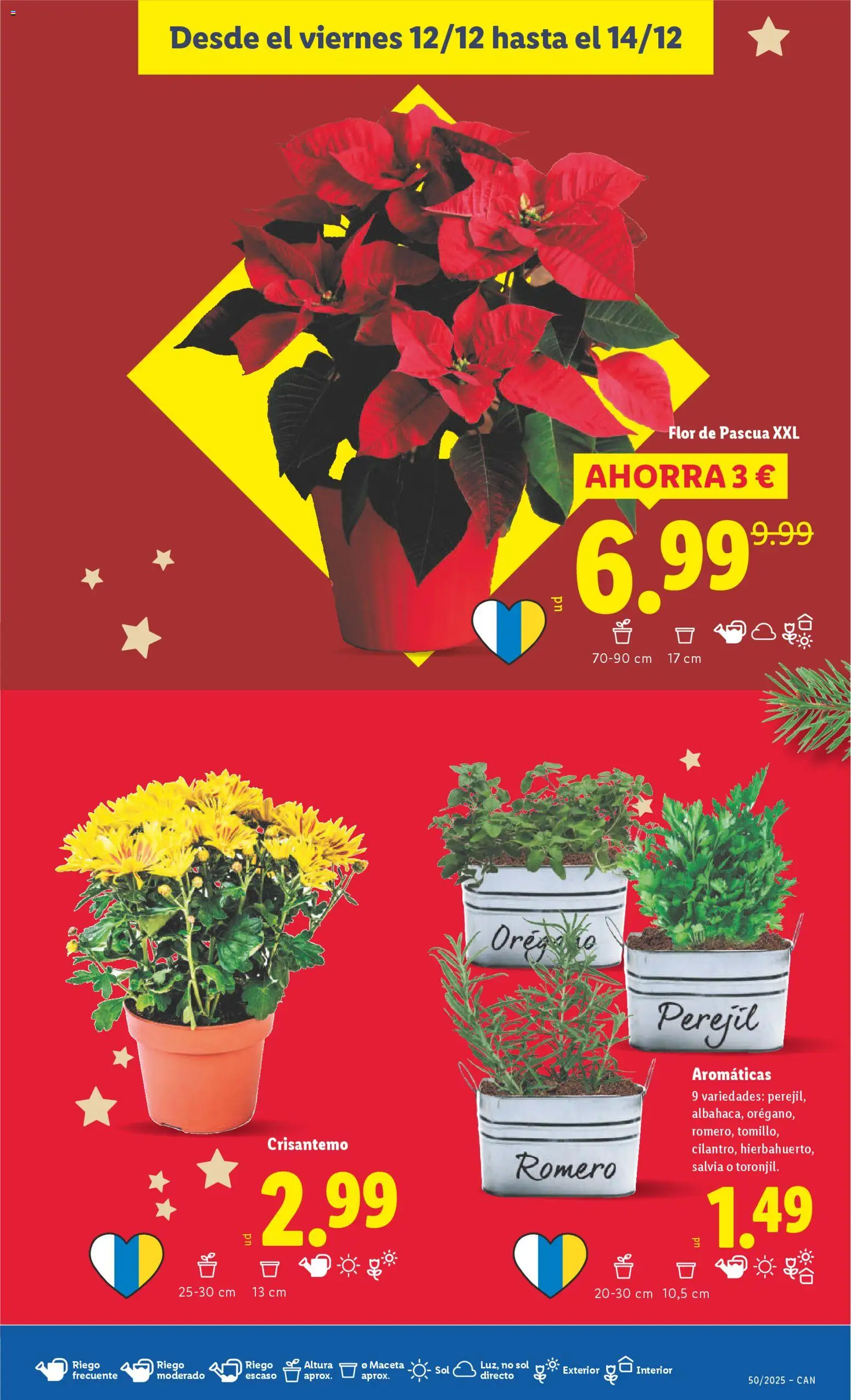 Lidl - Canarias │ válido desde el 08.12.2025 | Página: 45 | Productos: Maceta