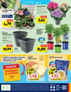 Hofer katalog akcije – veljaven od 11.03.2026 | Stran: 28 | Izdelki: Rezanci, Kos, Kruh