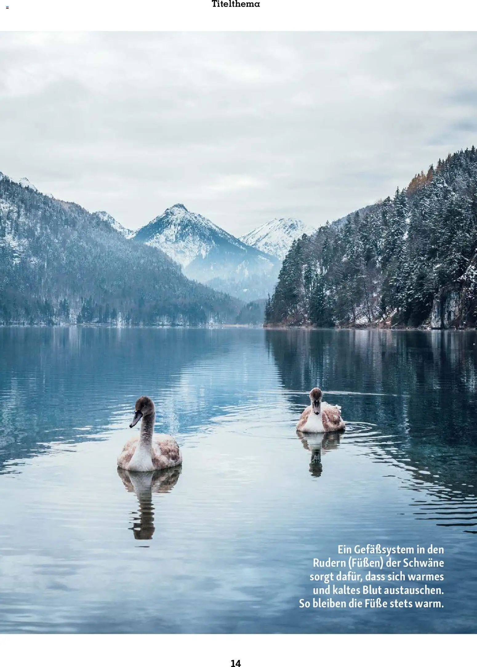 Fressnapf Friends Magazin – gültig ab 01.01.2026 | Seite: 14