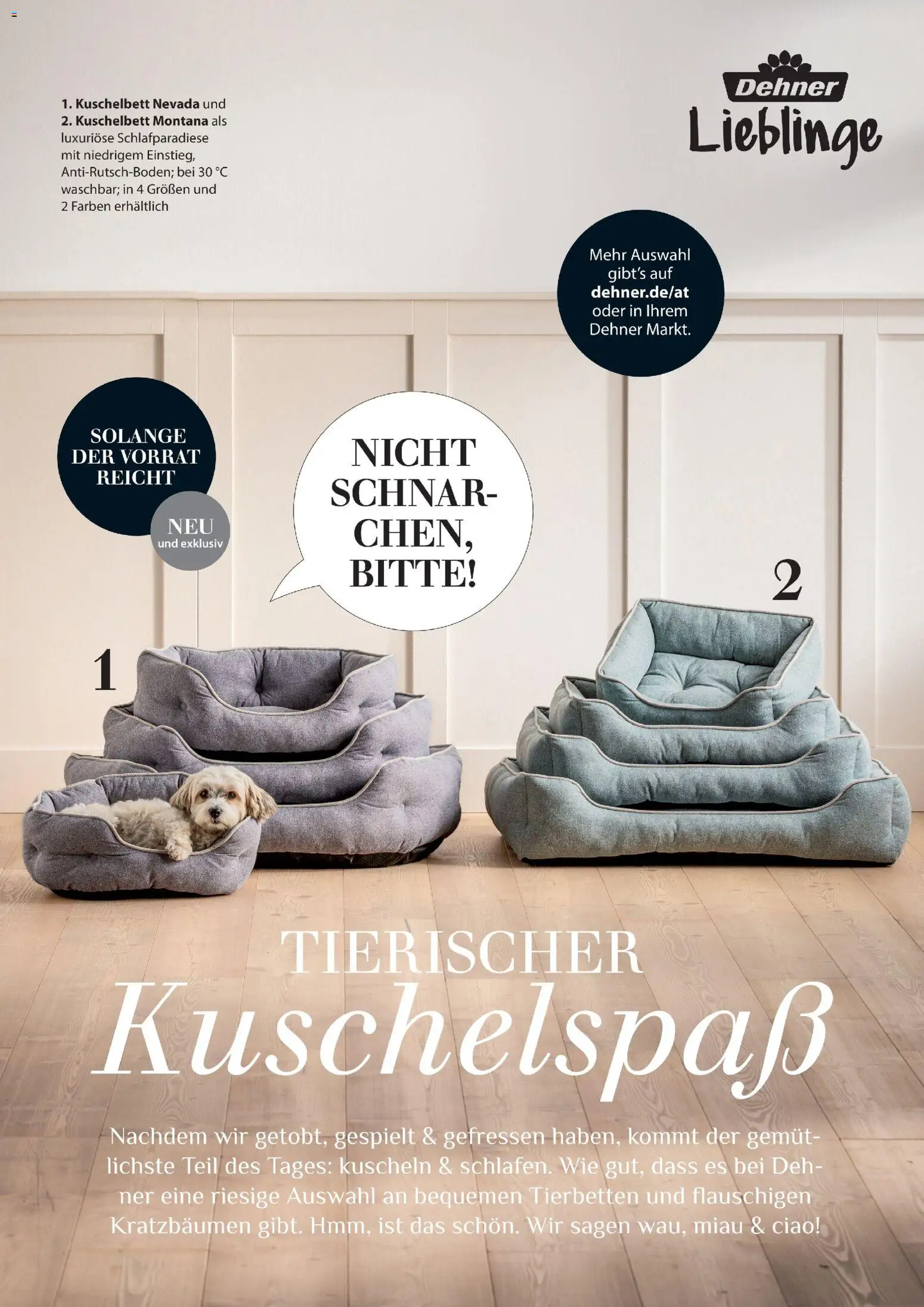 Dehner Prospekt 	 – gültig ab 17.04.2026 | Seite: 91