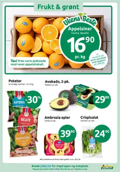 Forhåndsvisning av Avokado, 2-pk., Season, pr. pk. gyldig fra 17.02.2026 | Side: 4
