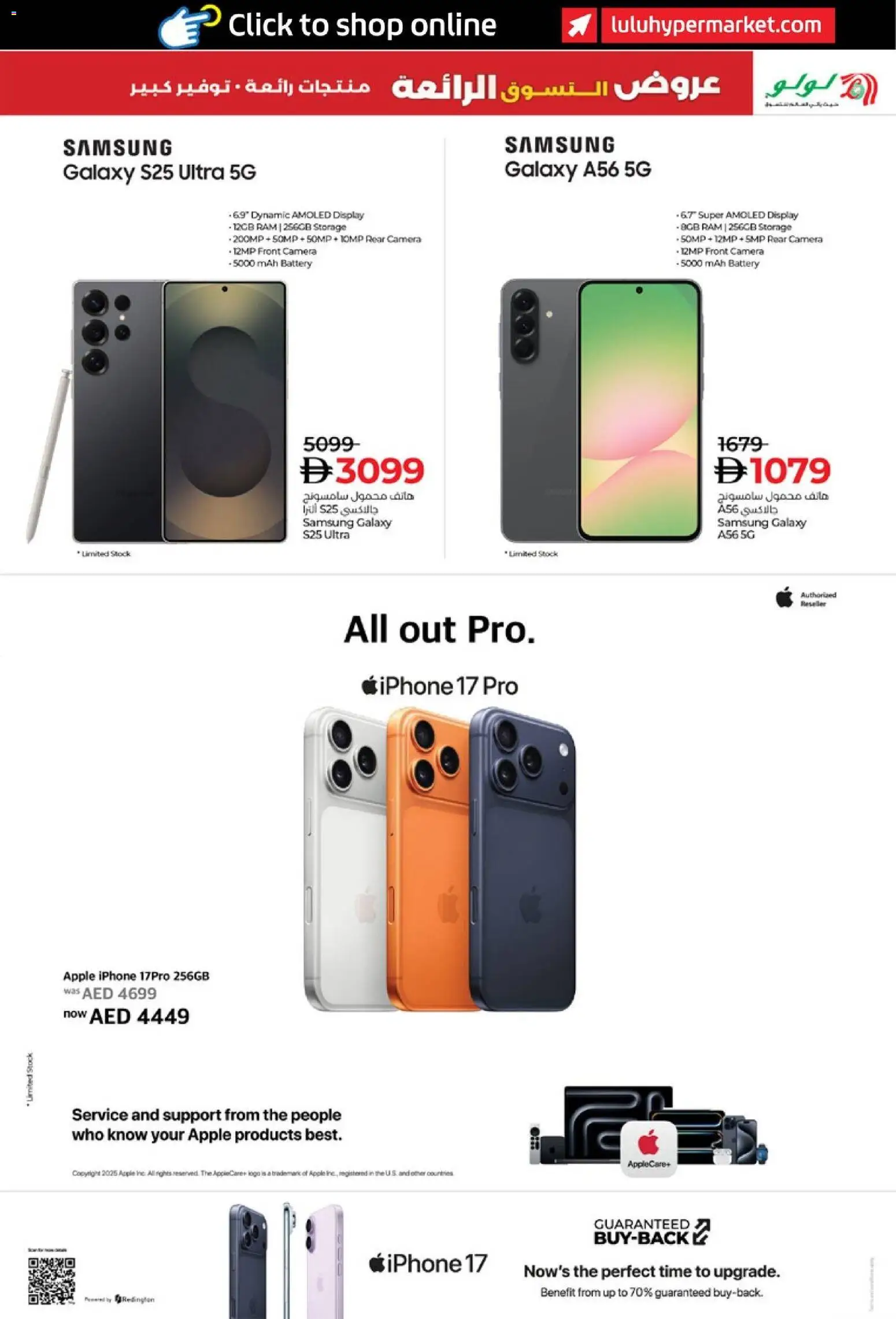 {H1} | Page: 11 | Products: Pizza, BH