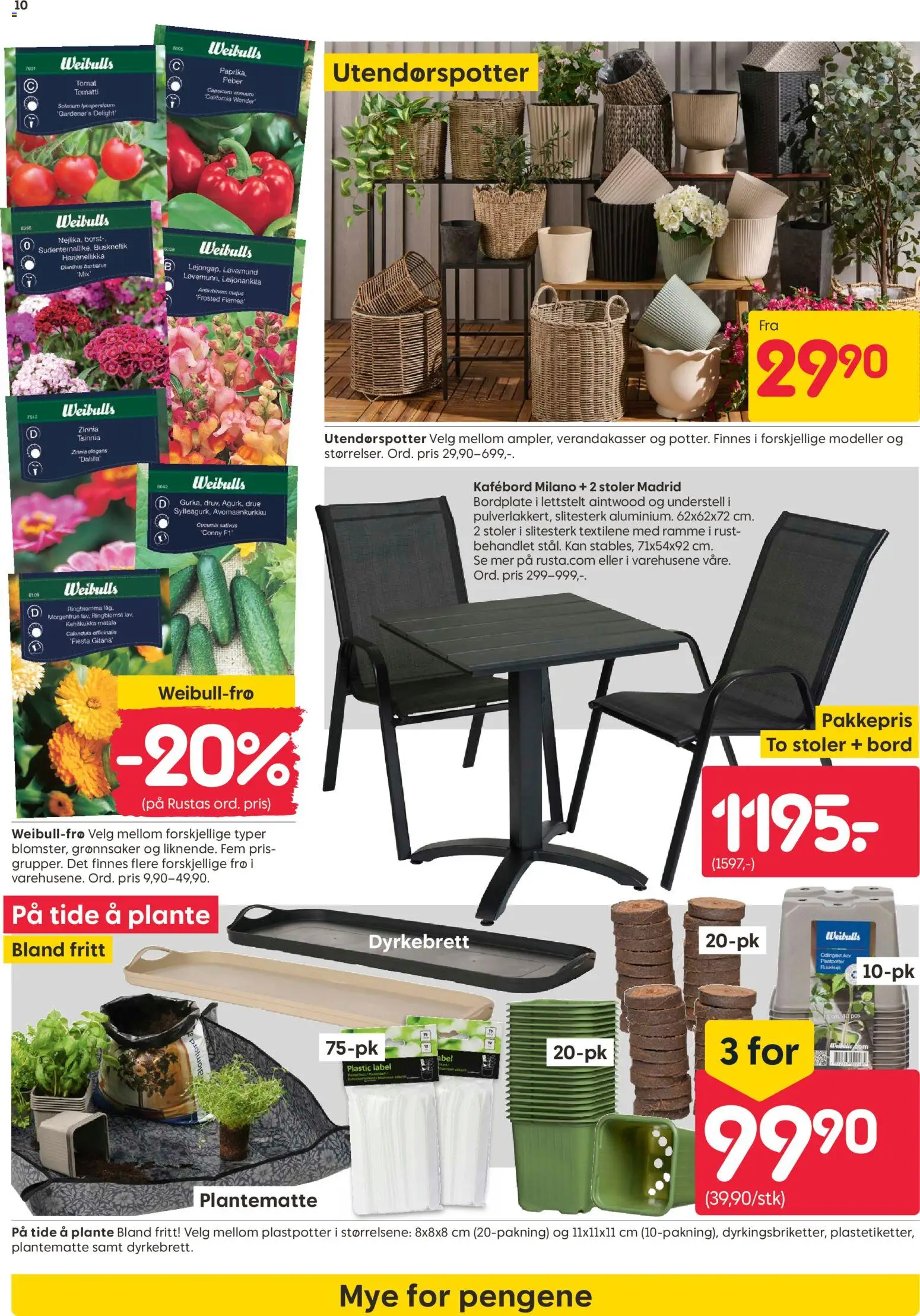 {H1} | Side: 10 | Produkter: Paprika, Umetna rastlina, Форель, Bord