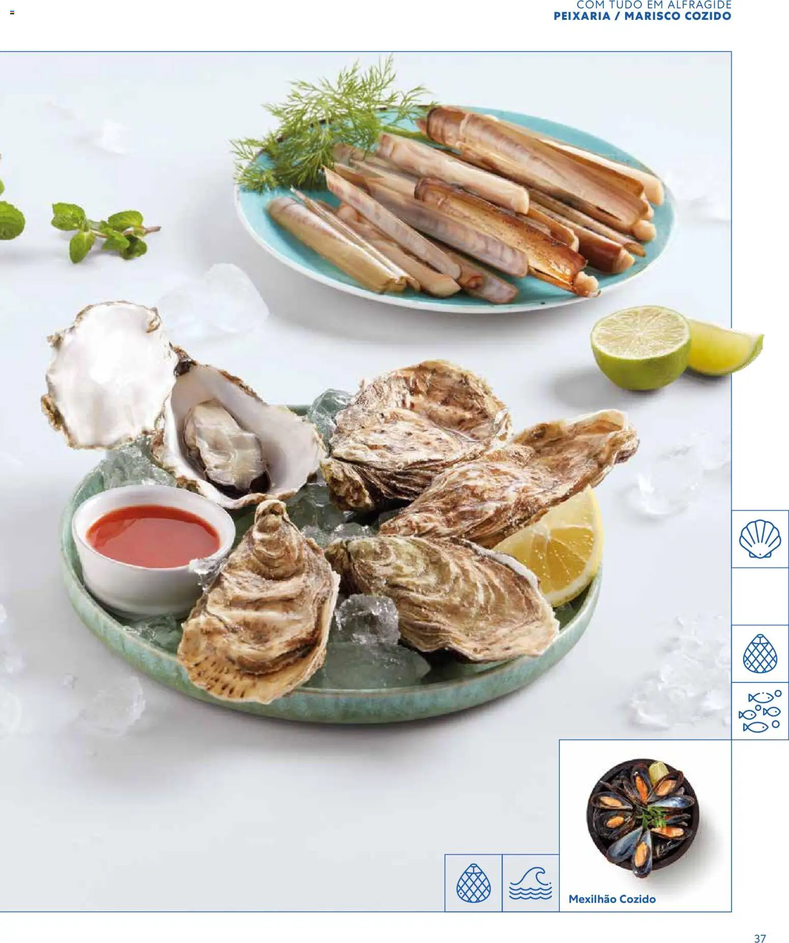 Recheio - Catálogo de Alfragide │ válido de 16.03.2026 | Página: 37