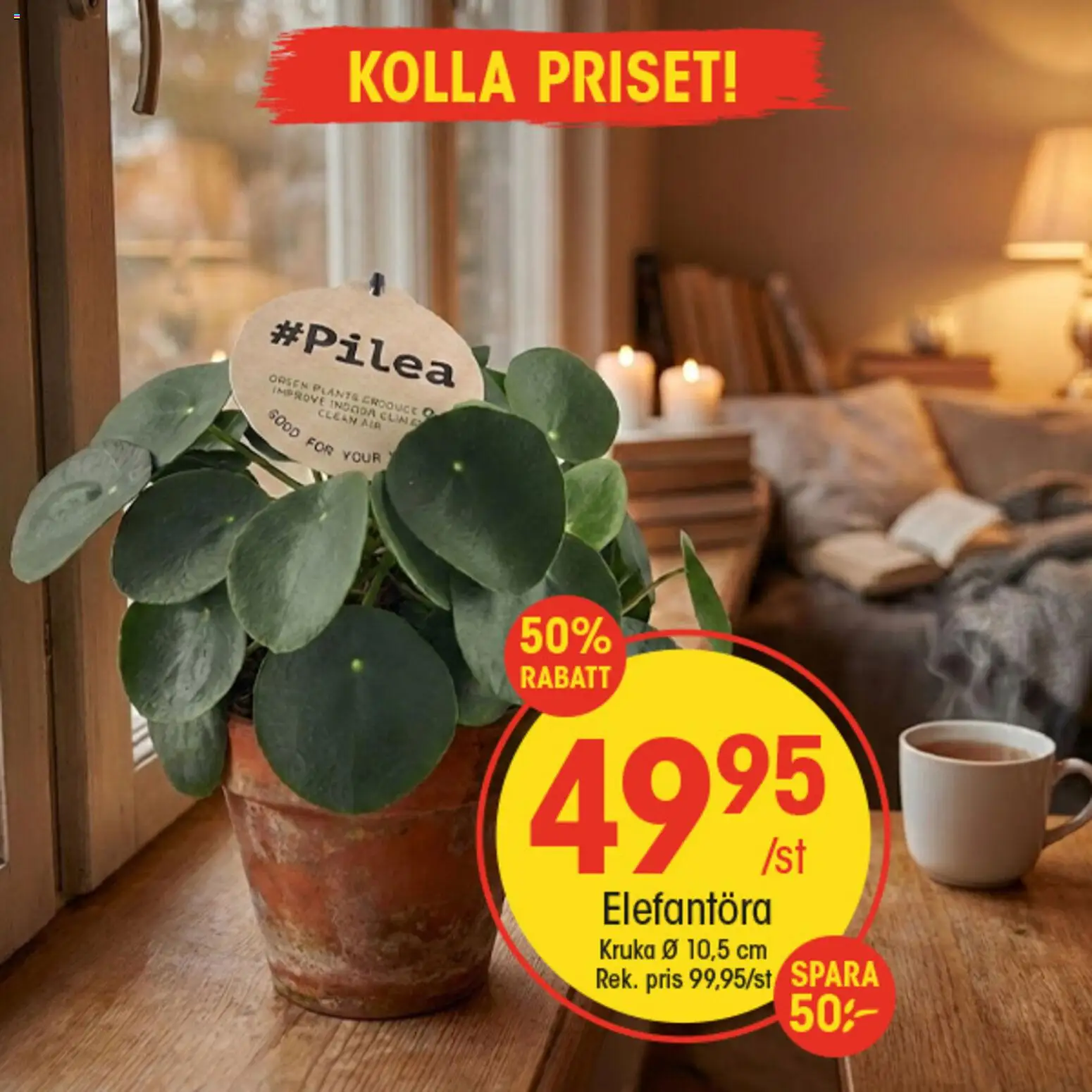EKO reklamblad aktuell från 28.01.2026 | Sida: 4 | Produkter: Kruka