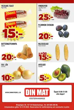 Din Mat reklamblad aktuell från 15.09.2025 | Sida: 8 | Produkter: Vindruvor, Galler, Plommon, Gul lök