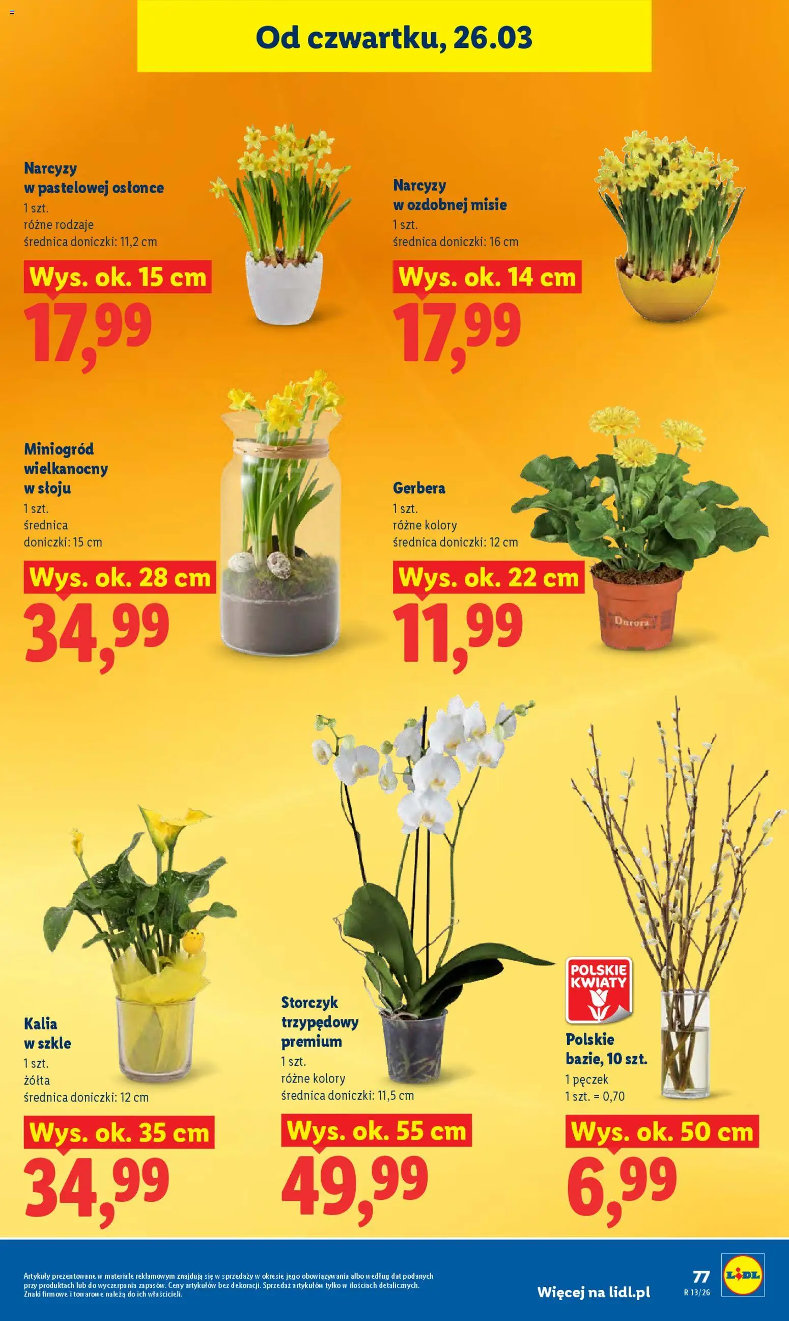 Lidl gazetka od 26.03.2026 | Strona: 77 | Produkty: Doniczki, Storczyk, Kwiaty