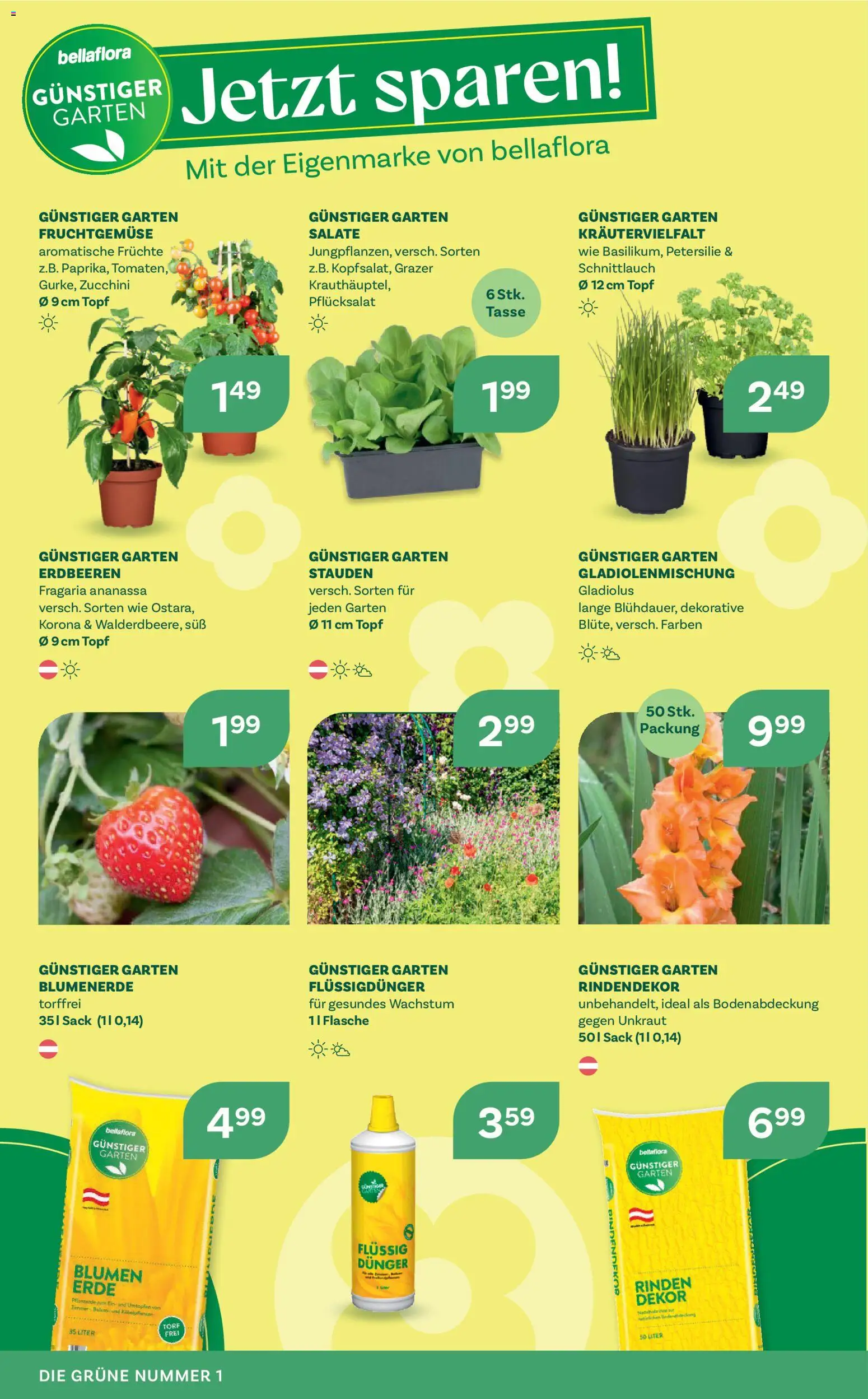 bellaflora Flugblatt gültig ab 02.04.2026 | Seite: 10 | Produkte: Erdbeeren, Petersilie