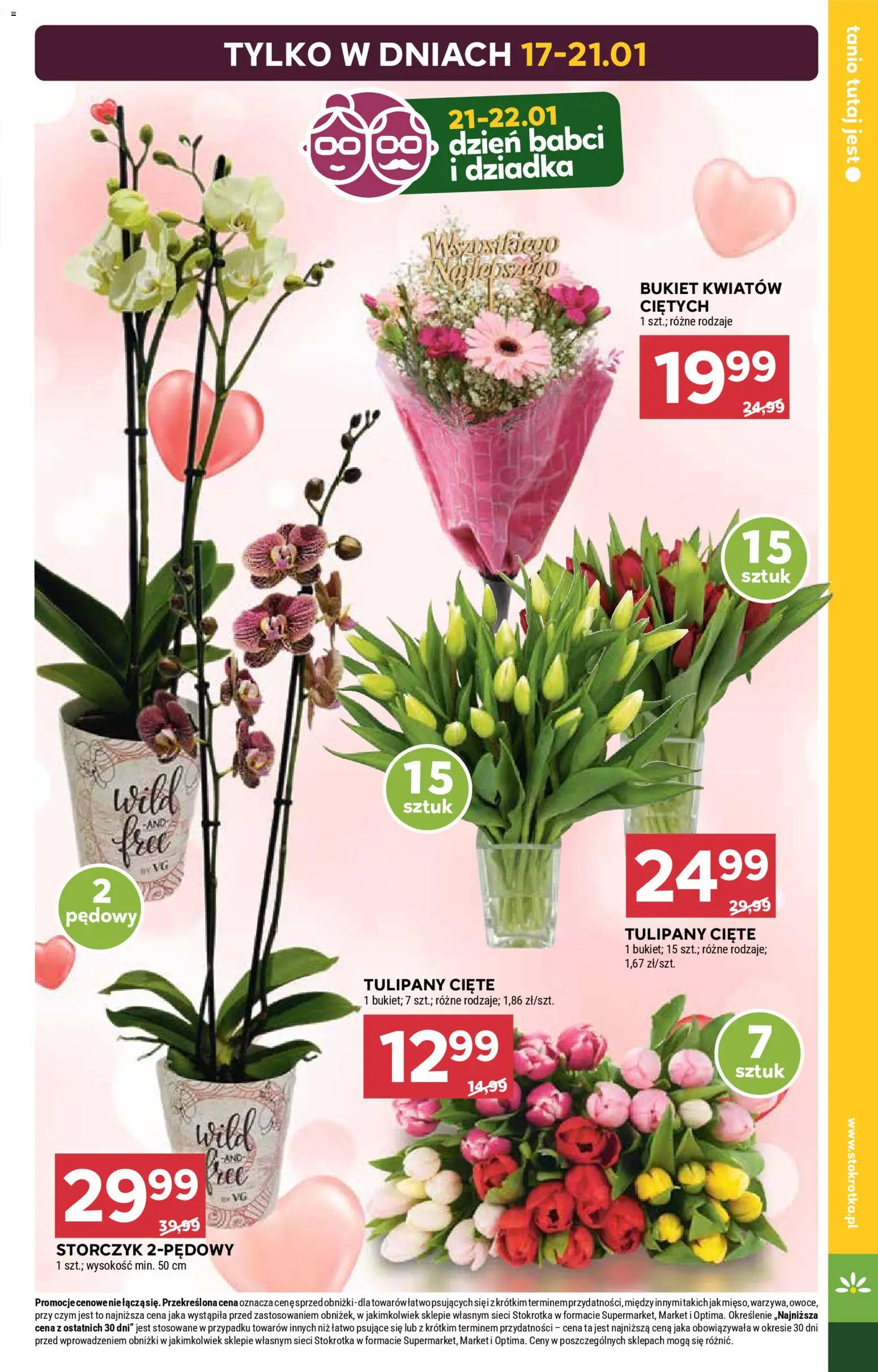 Stokrotka Gazetka od 15.01.2026 | Strona: 7 | Produkty: Stokrotka, Storczyk, Tulipany