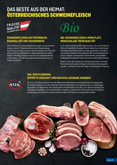 Metro Fleischkatalog ab 20.02.2026 gültig | Seite: 21