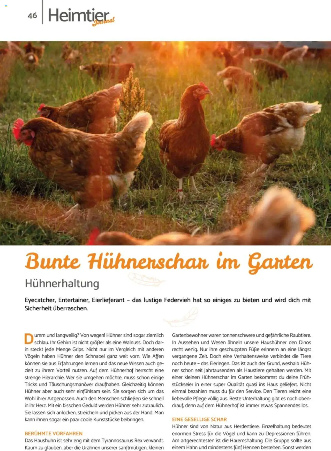 zookauf  Heimtier Journal - gültig ab dem 21.07.2025 | Seite: 46
