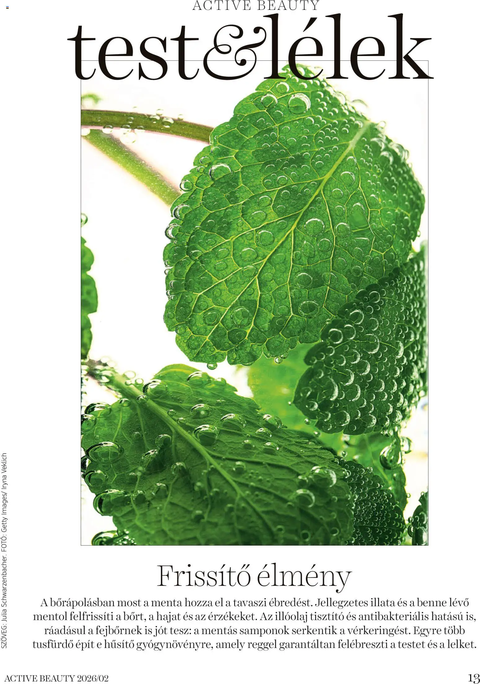 DM Drogerie Markt akciós ujság - amely érvényes a következő dátumtól: 06.02.2026 | Oldal: 13